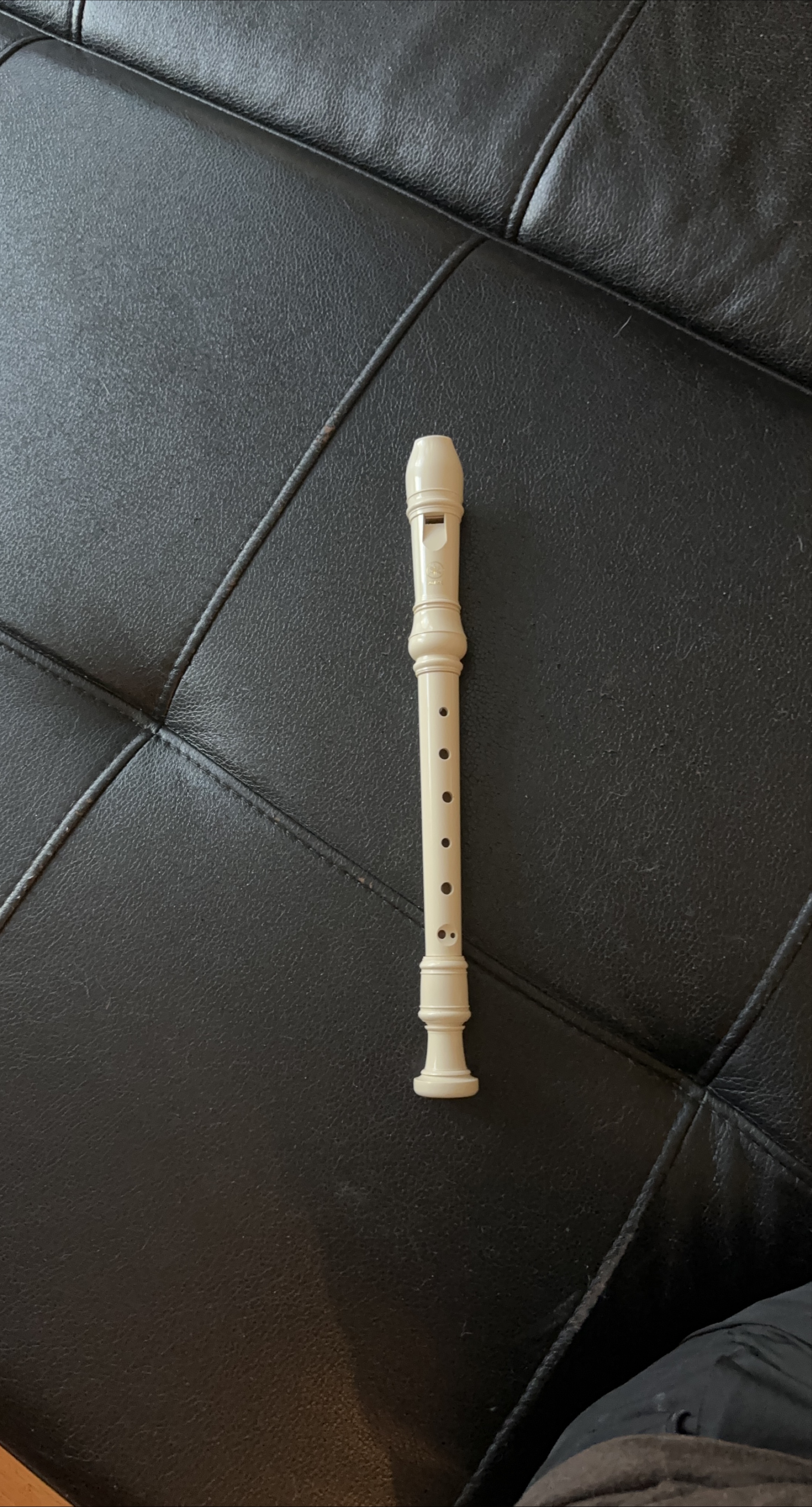 Yamaha Recorder thumbnail