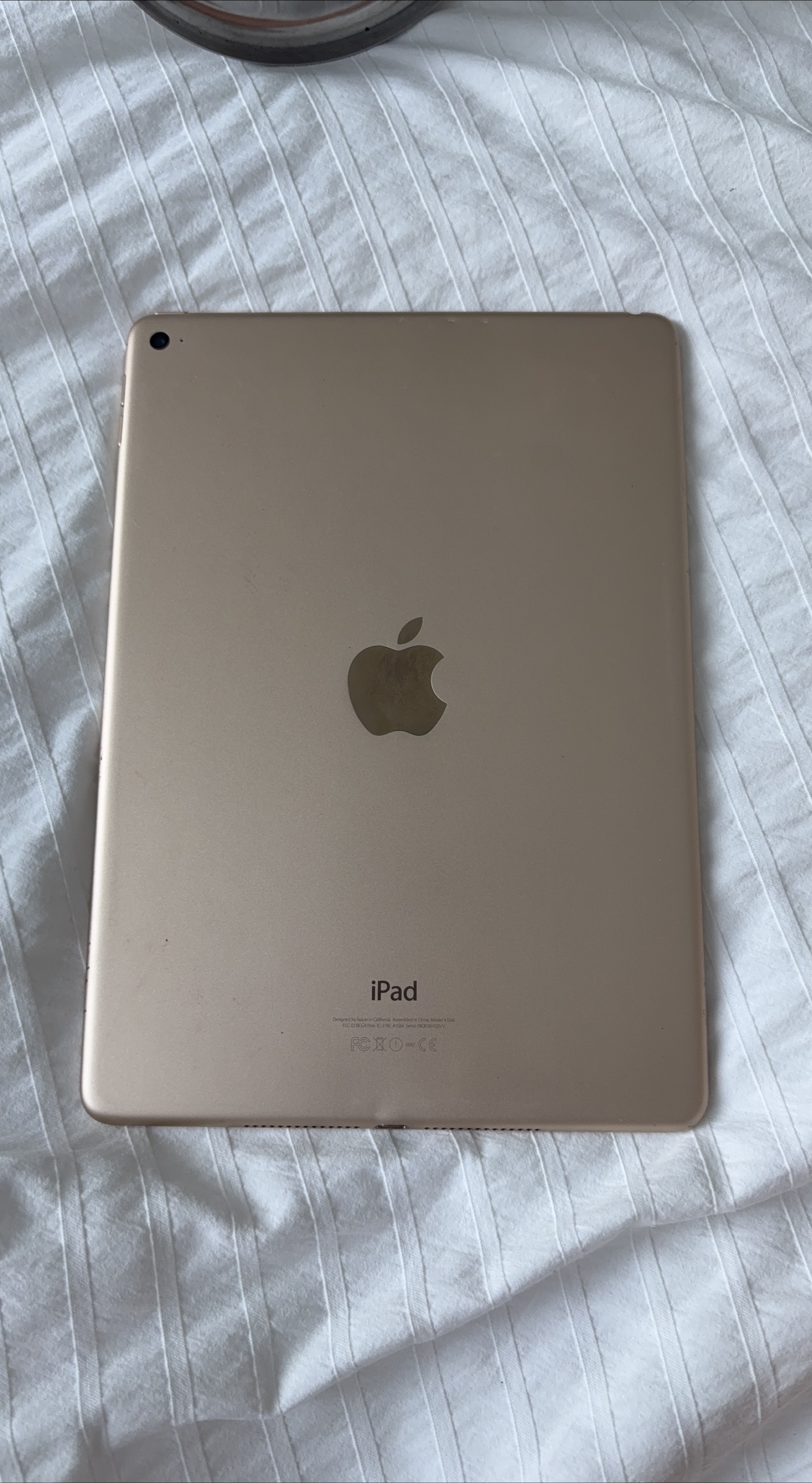 Apple iPad thumbnail