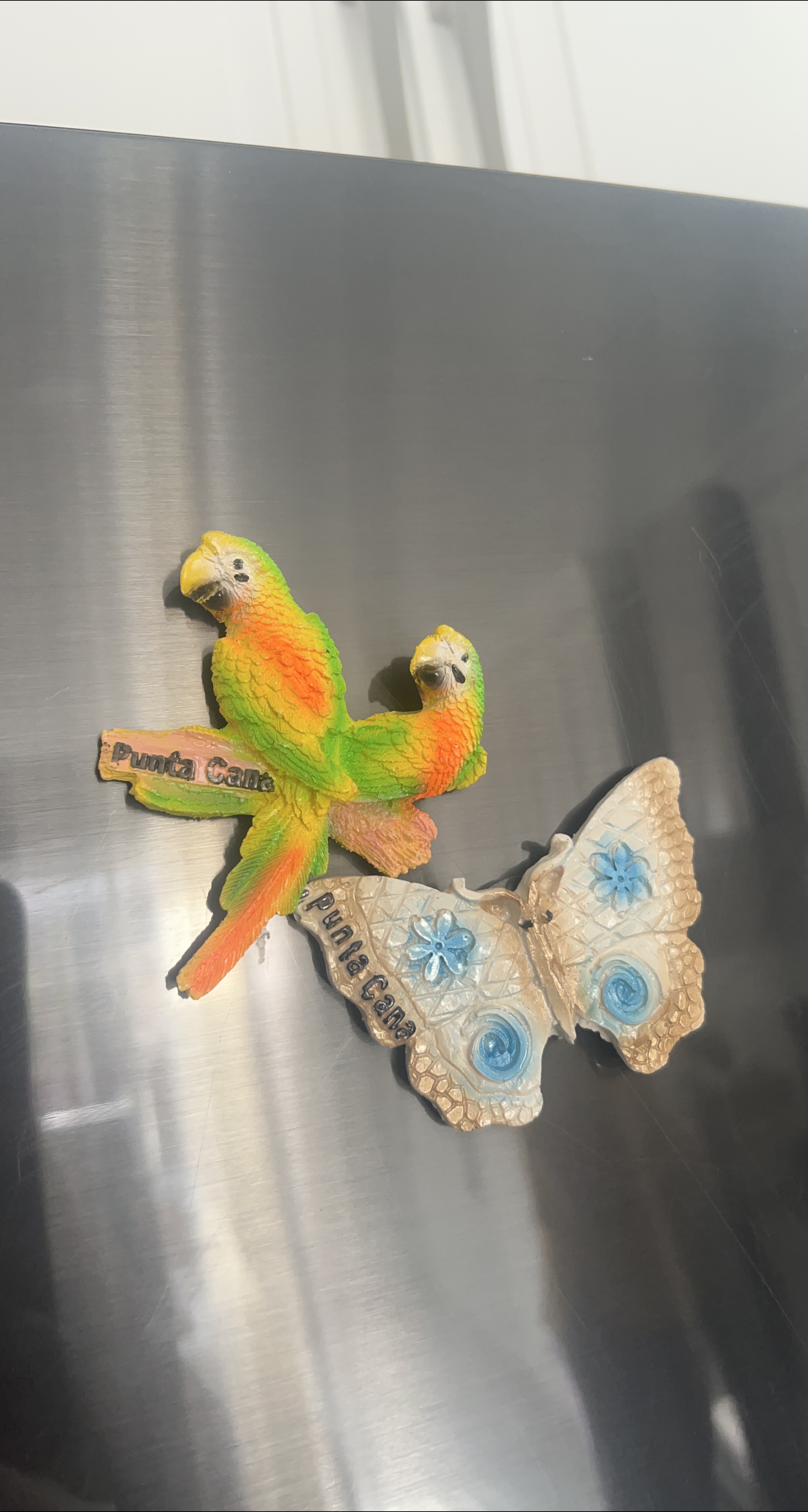 Punta Cana Parrot & Butterfly Magnets thumbnail
