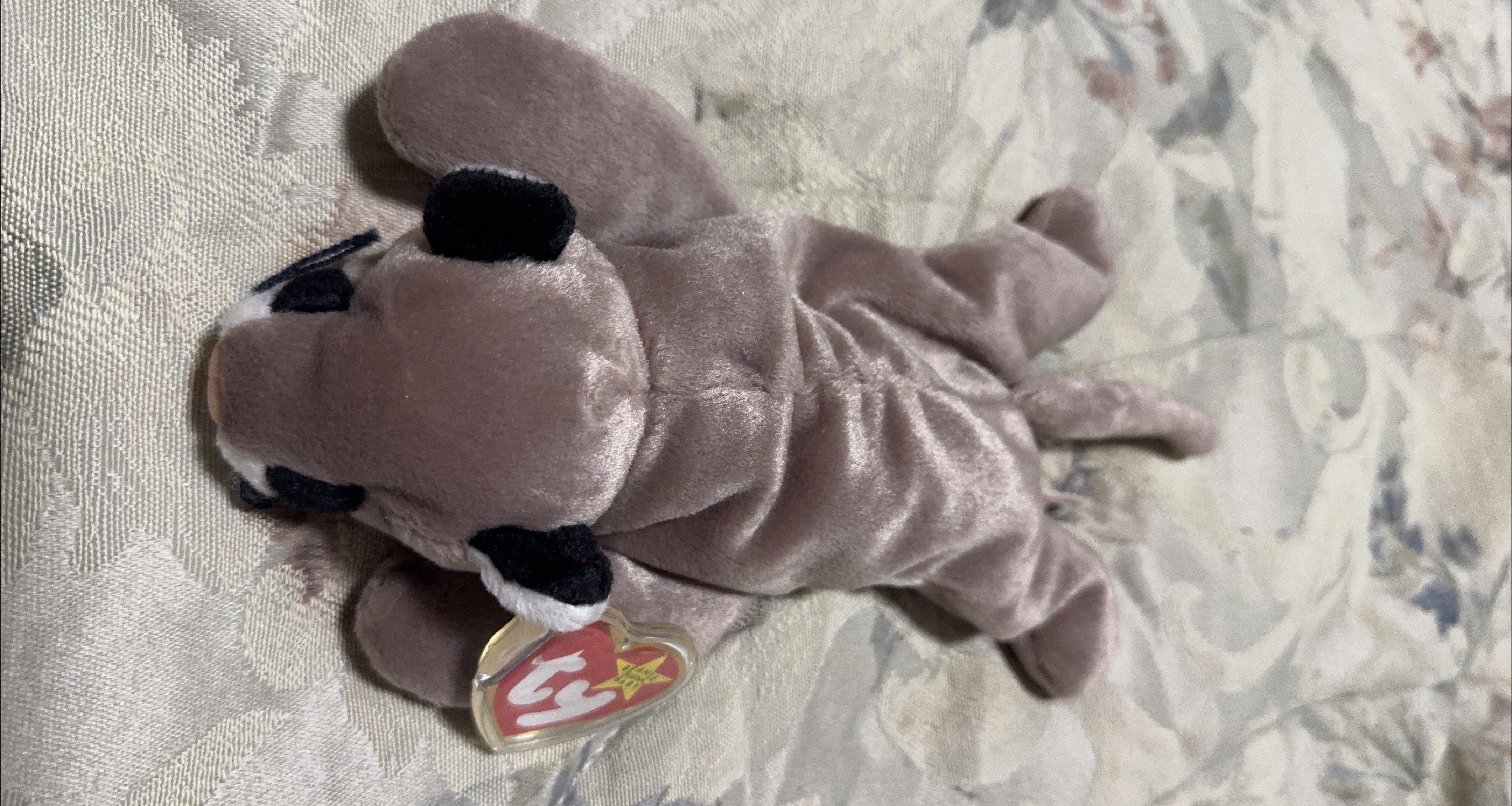 Ty Beanie Baby - Bandit the Raccoon thumbnail