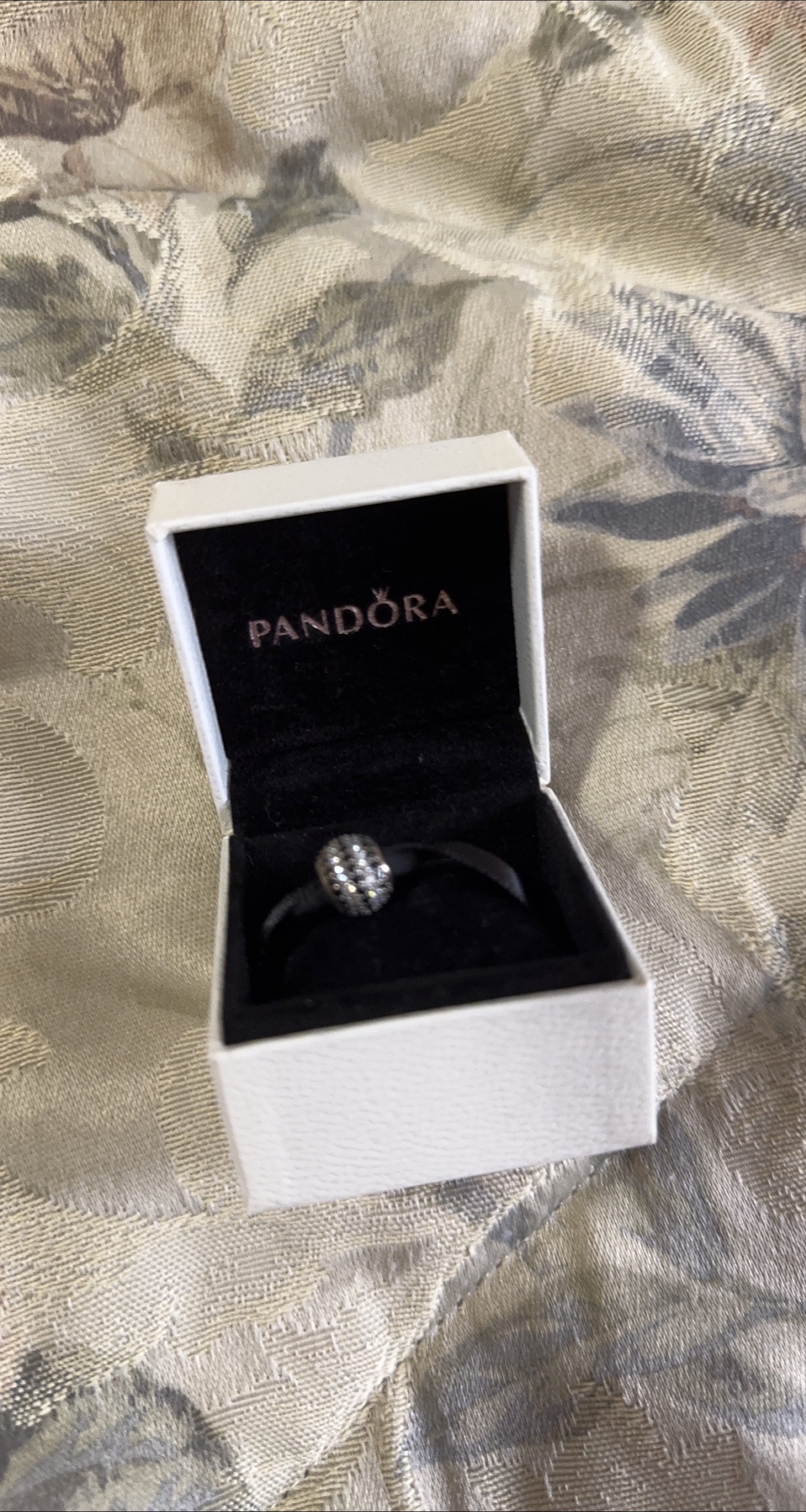 Pandora Charm with Box thumbnail