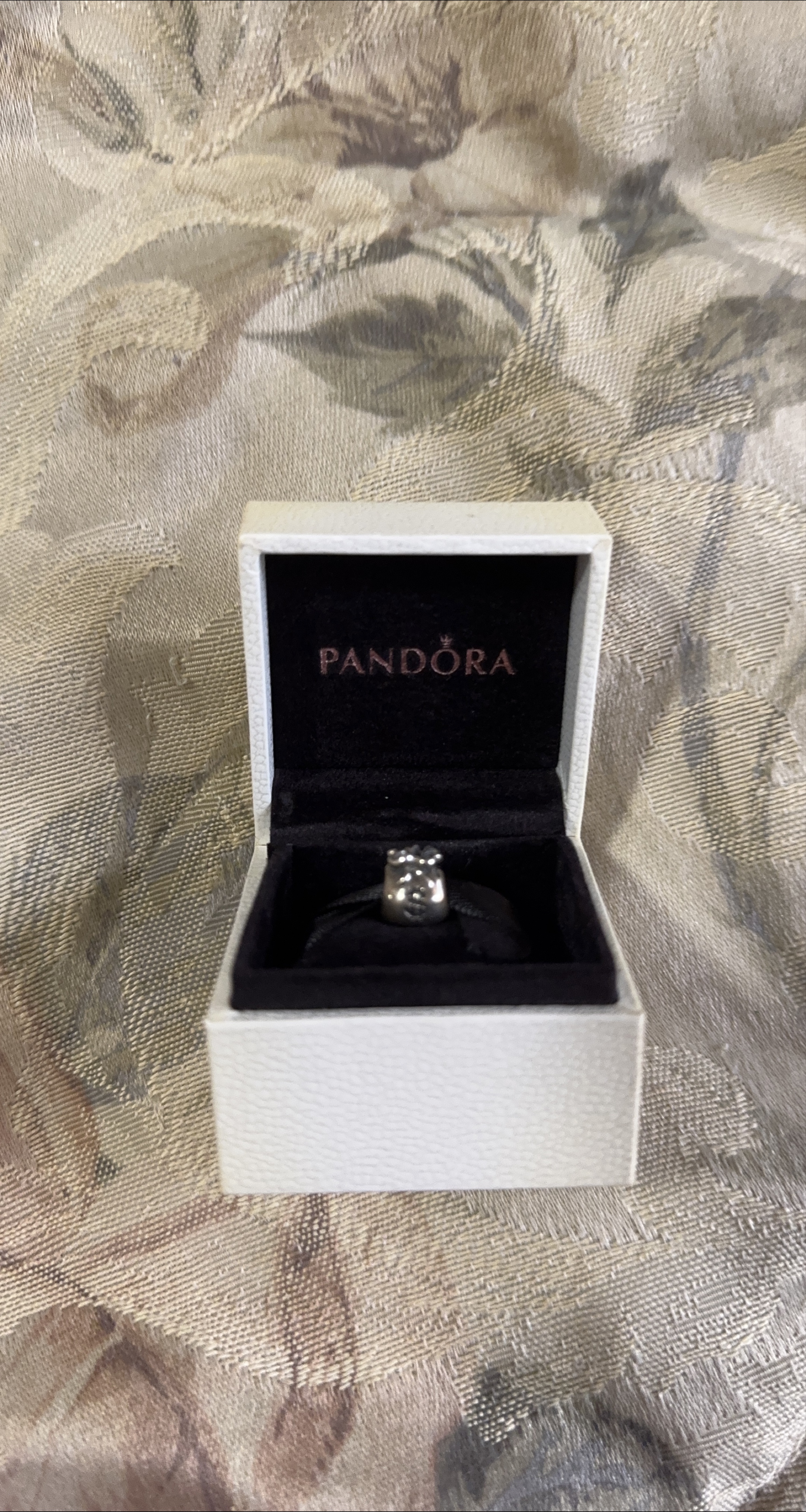 Pandora Money Bag Charm with Box thumbnail