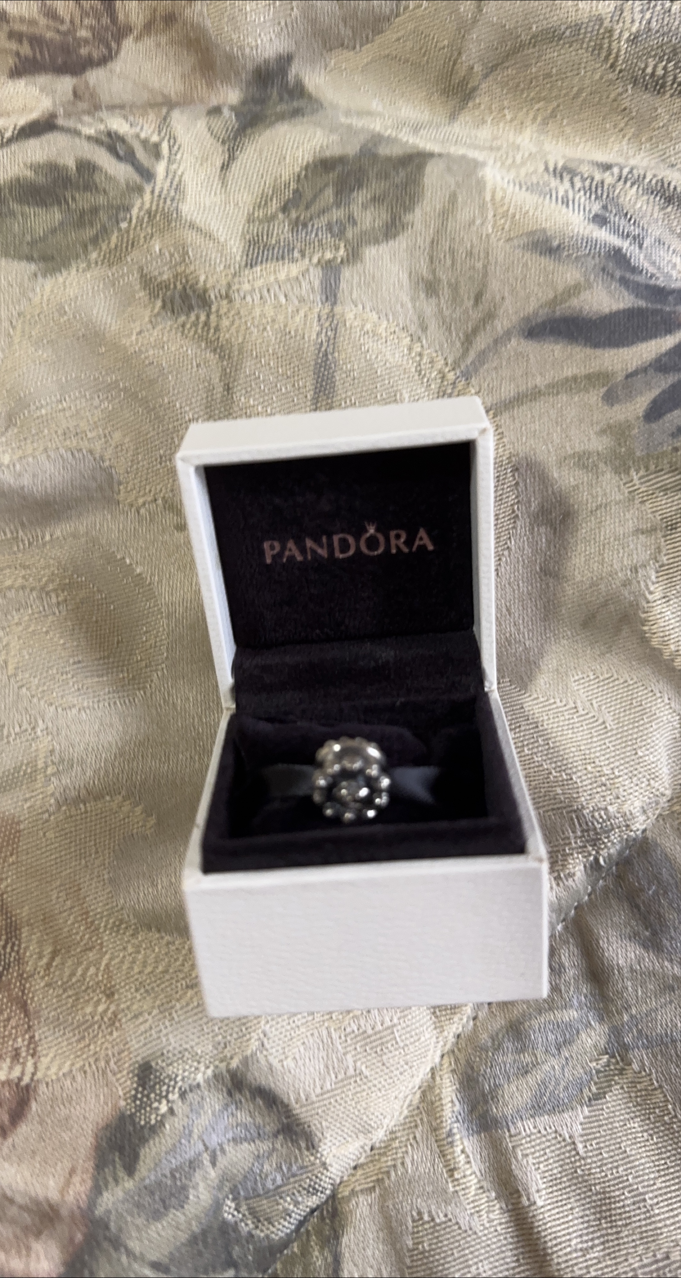 Pandora Charm with Box thumbnail