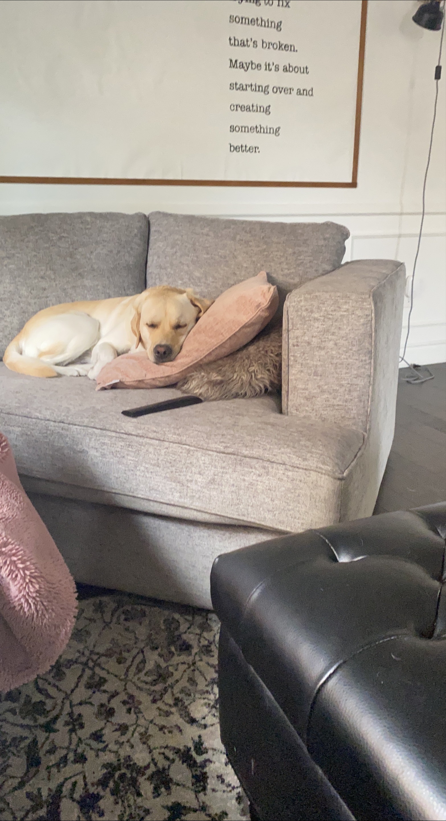 3 seater couch thumbnail
