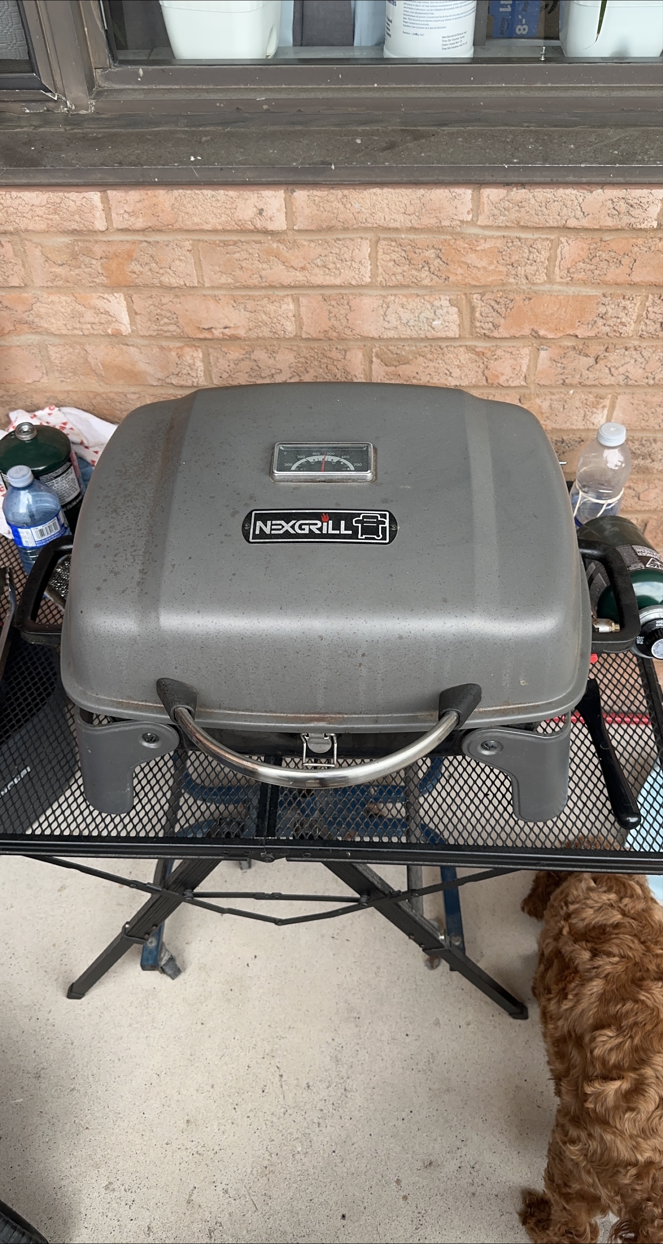 Nexgrill Portable Gas Grill thumbnail