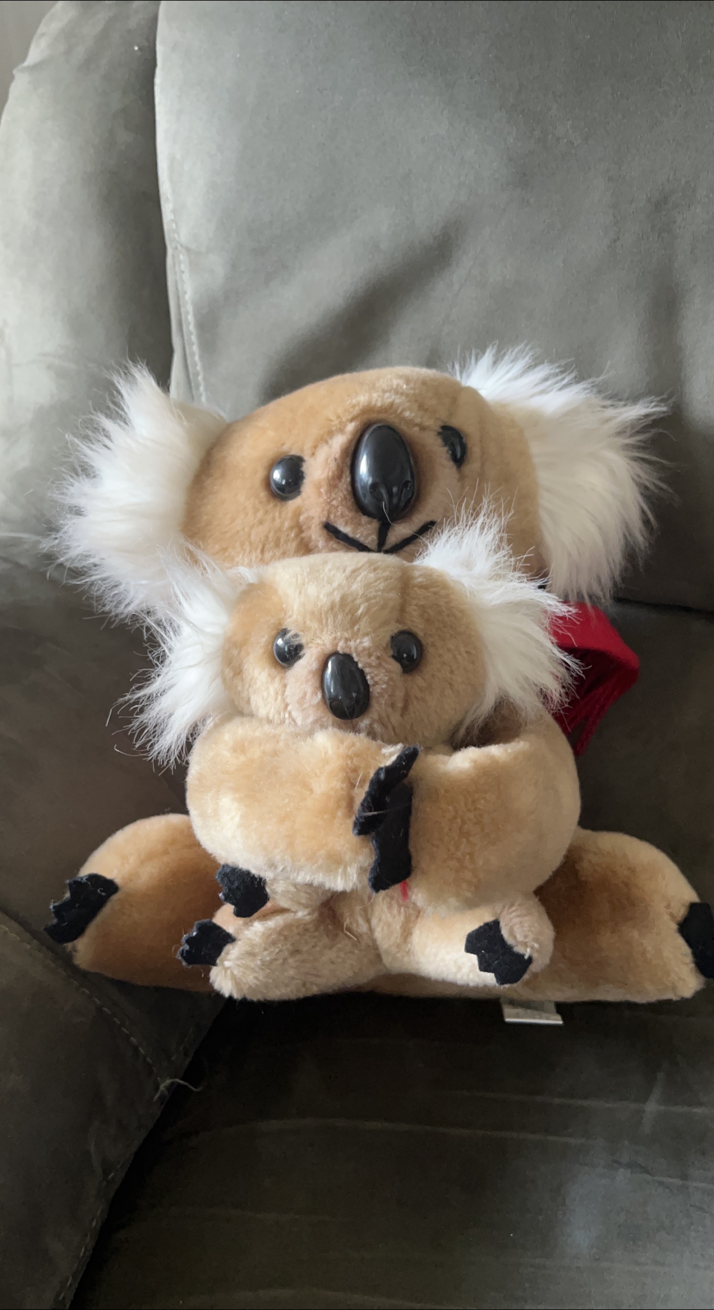 #freecycle Koala Plush Toy thumbnail