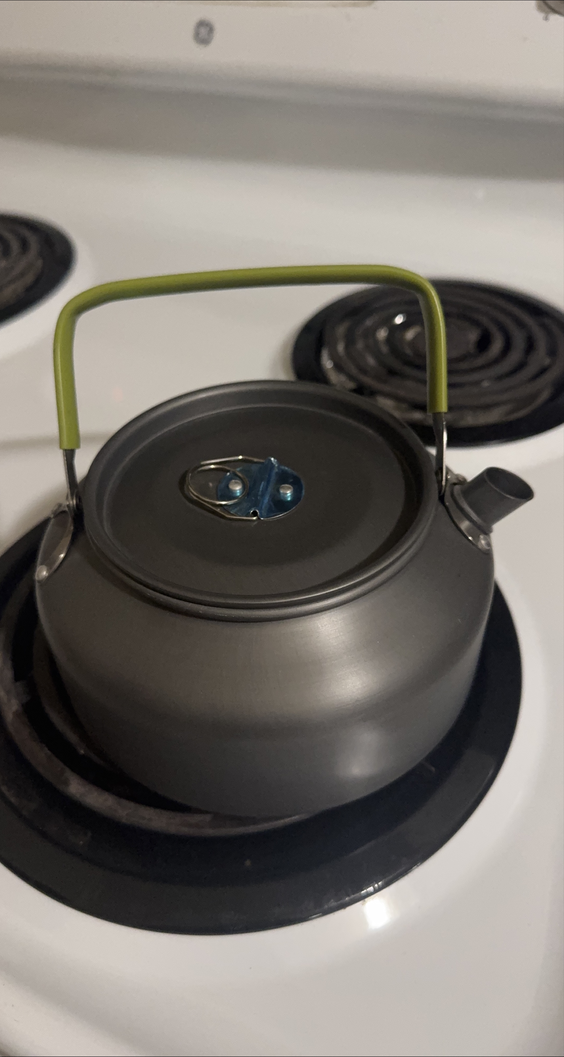 Grey Tea Kettle with Green Handle thumbnail