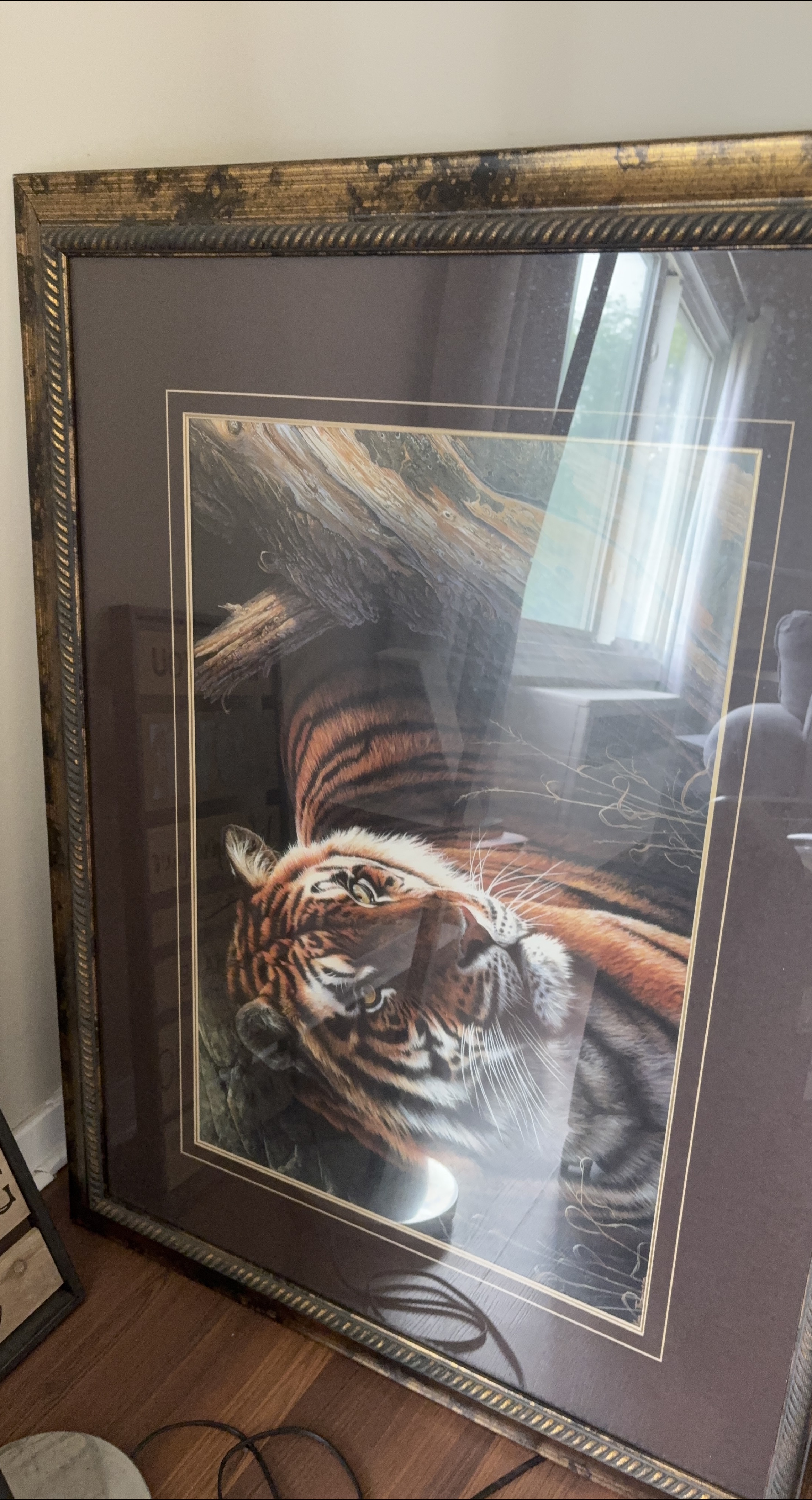 Framed Tiger Art thumbnail