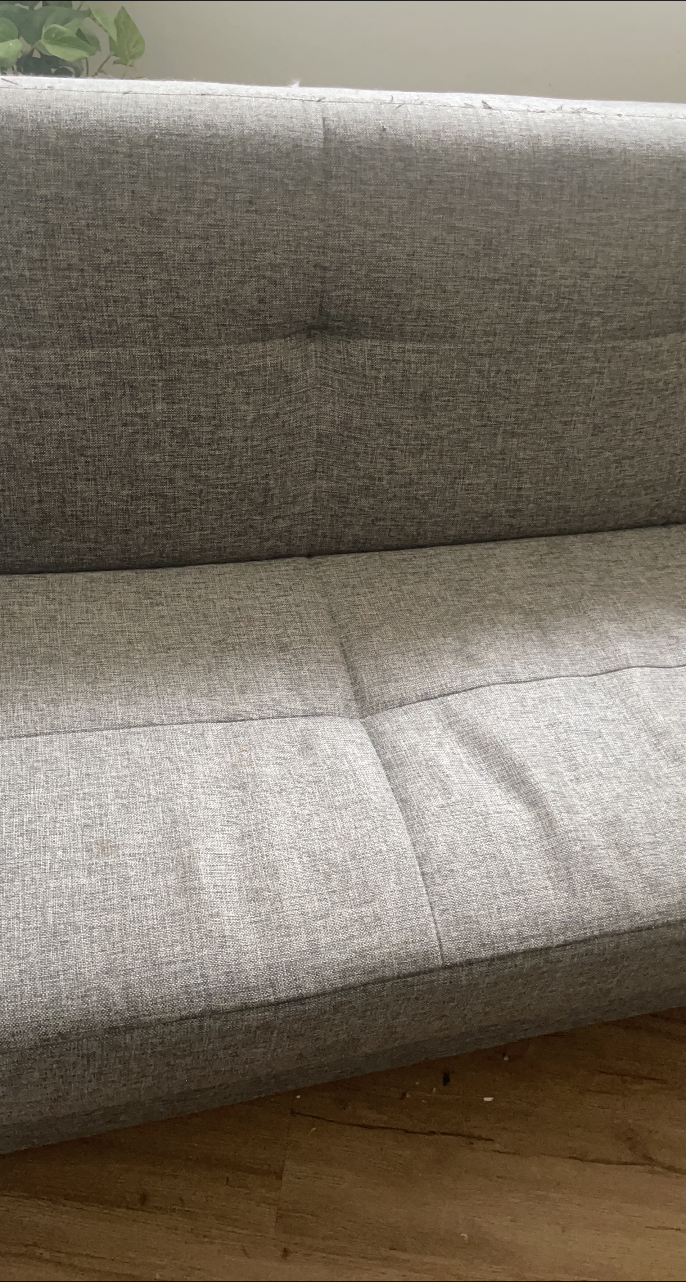 Gray Sofa thumbnail