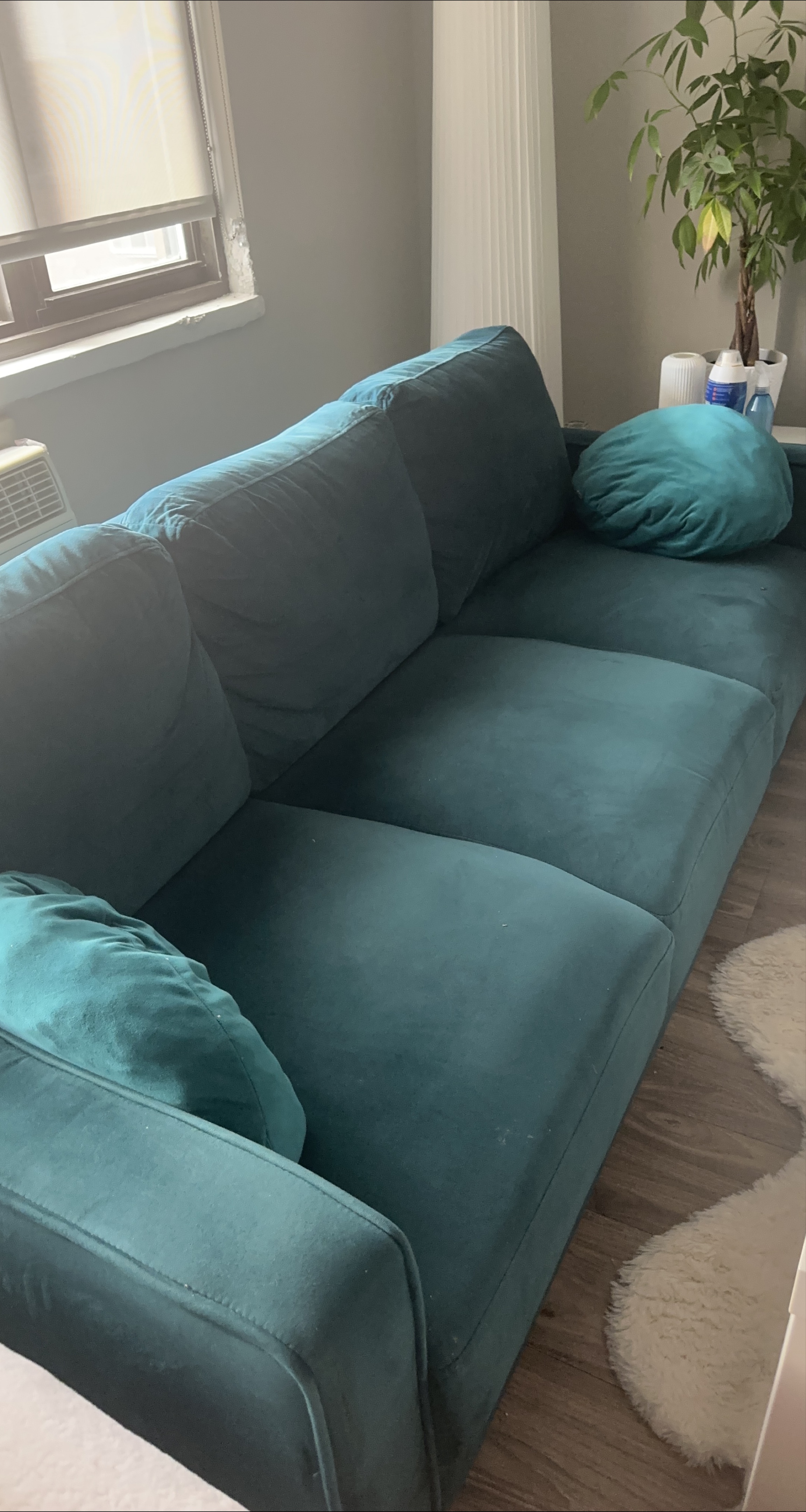 Teal Sofa thumbnail