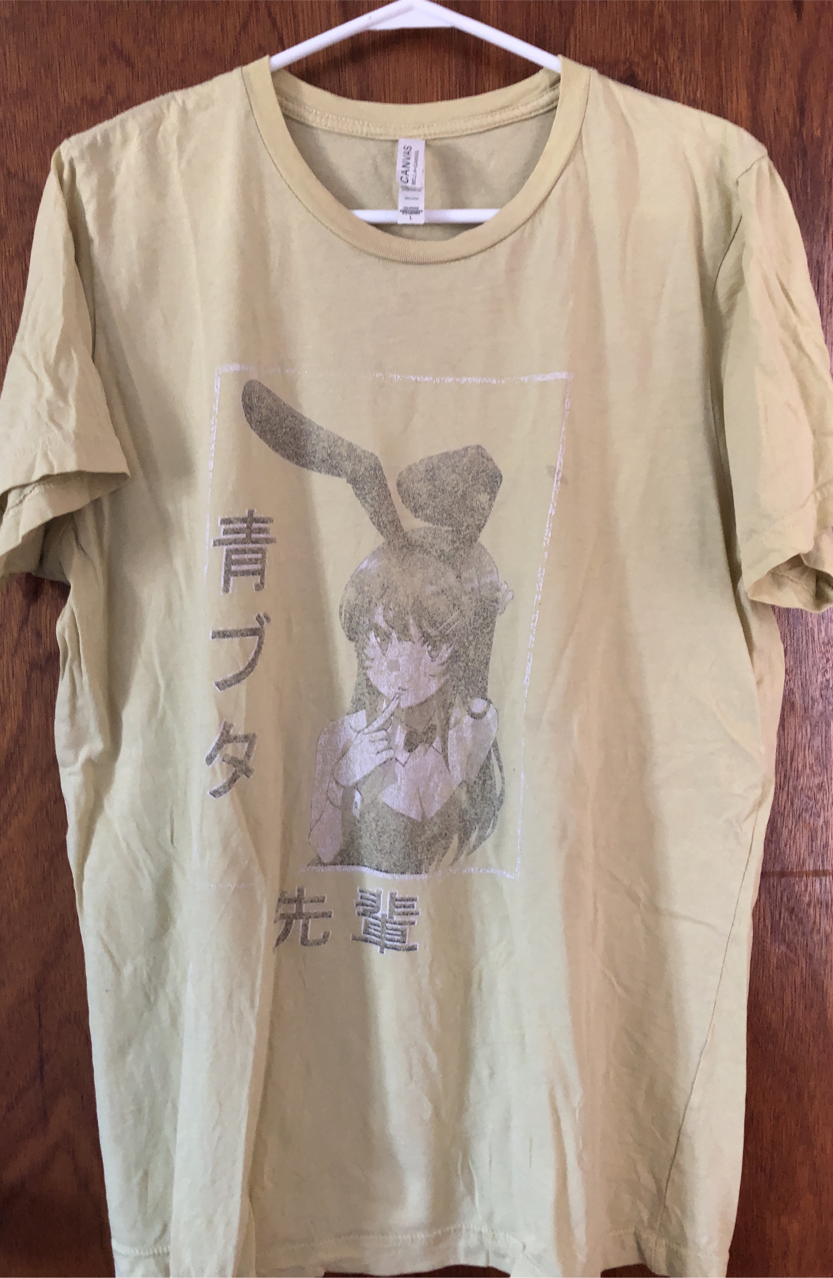 🇨🇦Bella+Canvas T-shirt - Size L thumbnail