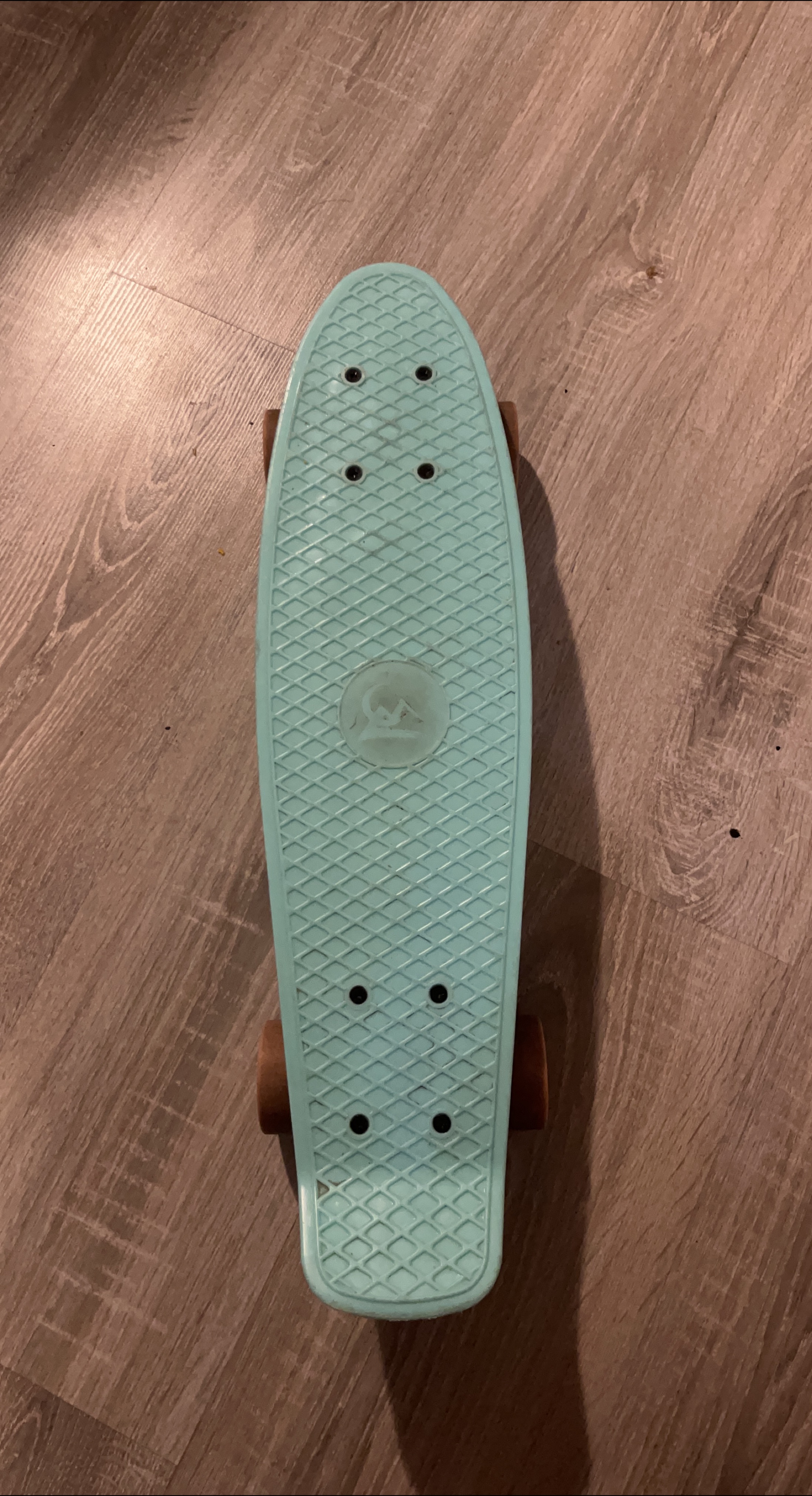 Penny Board Skateboard - Turquoise 🇨🇦 thumbnail