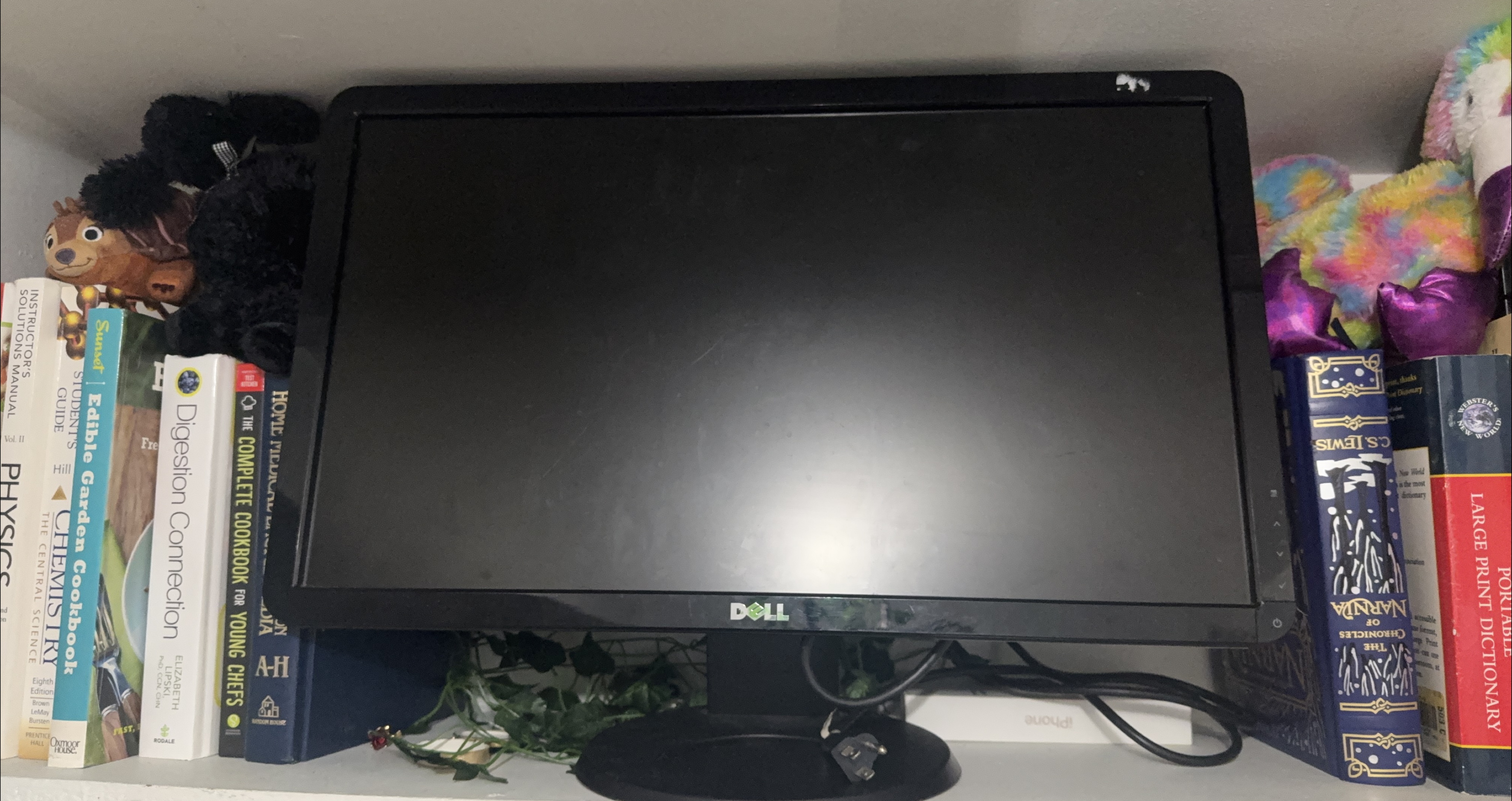 Dell Computer Monitor - Great Condition! thumbnail