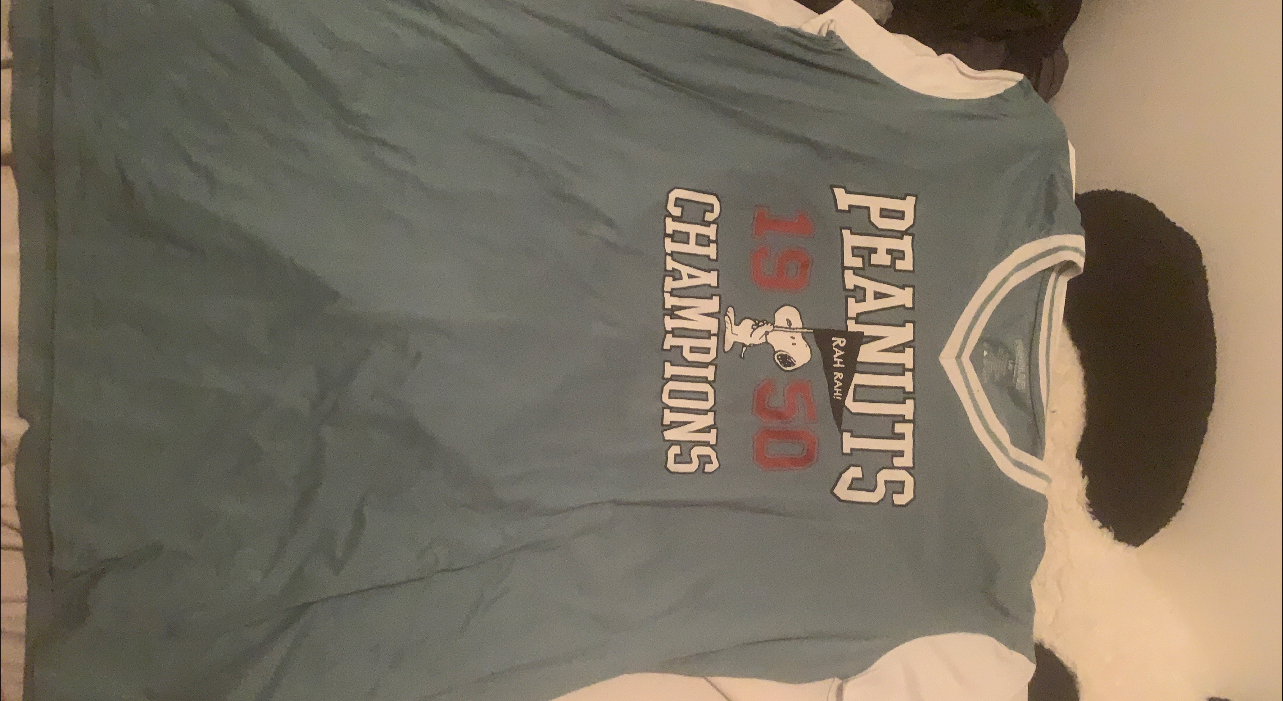 Peanuts 1950 Champions T-Shirt thumbnail