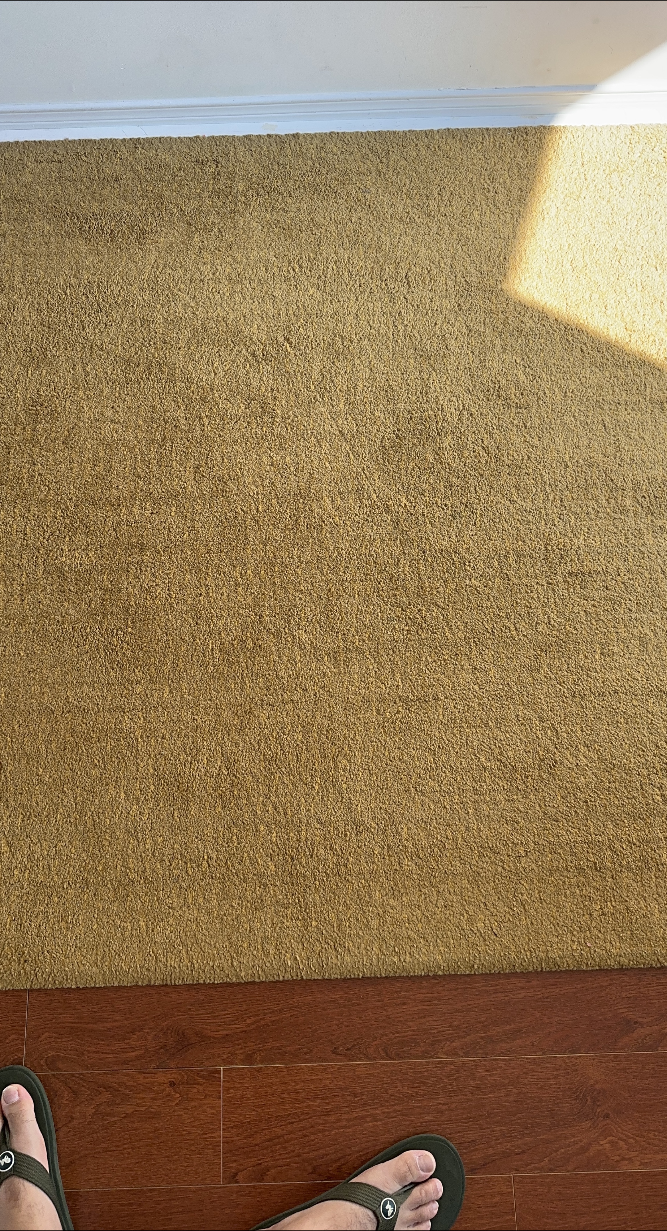 IKEA LANGSTED Rug, low pile, yellow beige thumbnail