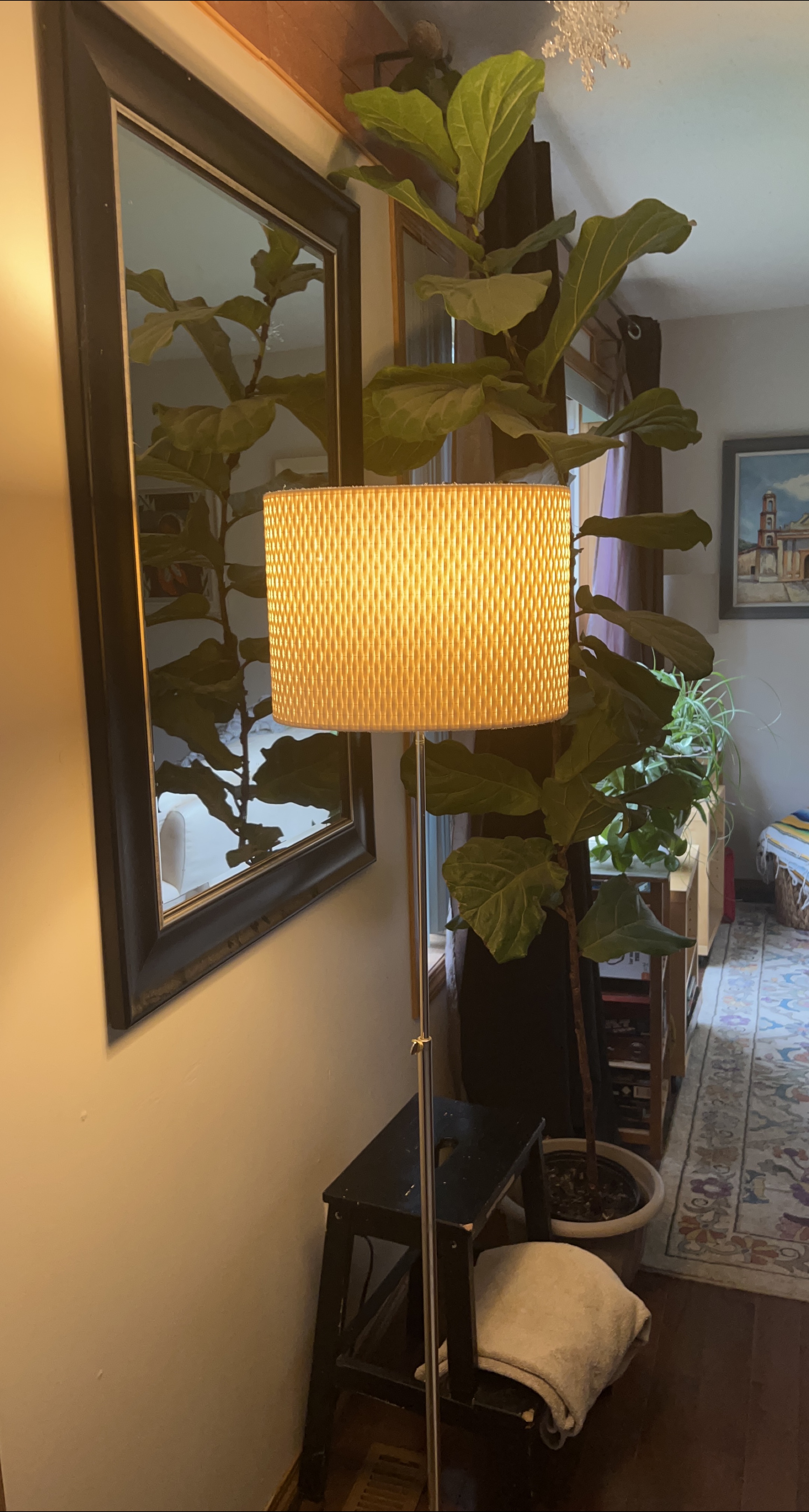 Floor Lamp with Woven Shade thumbnail