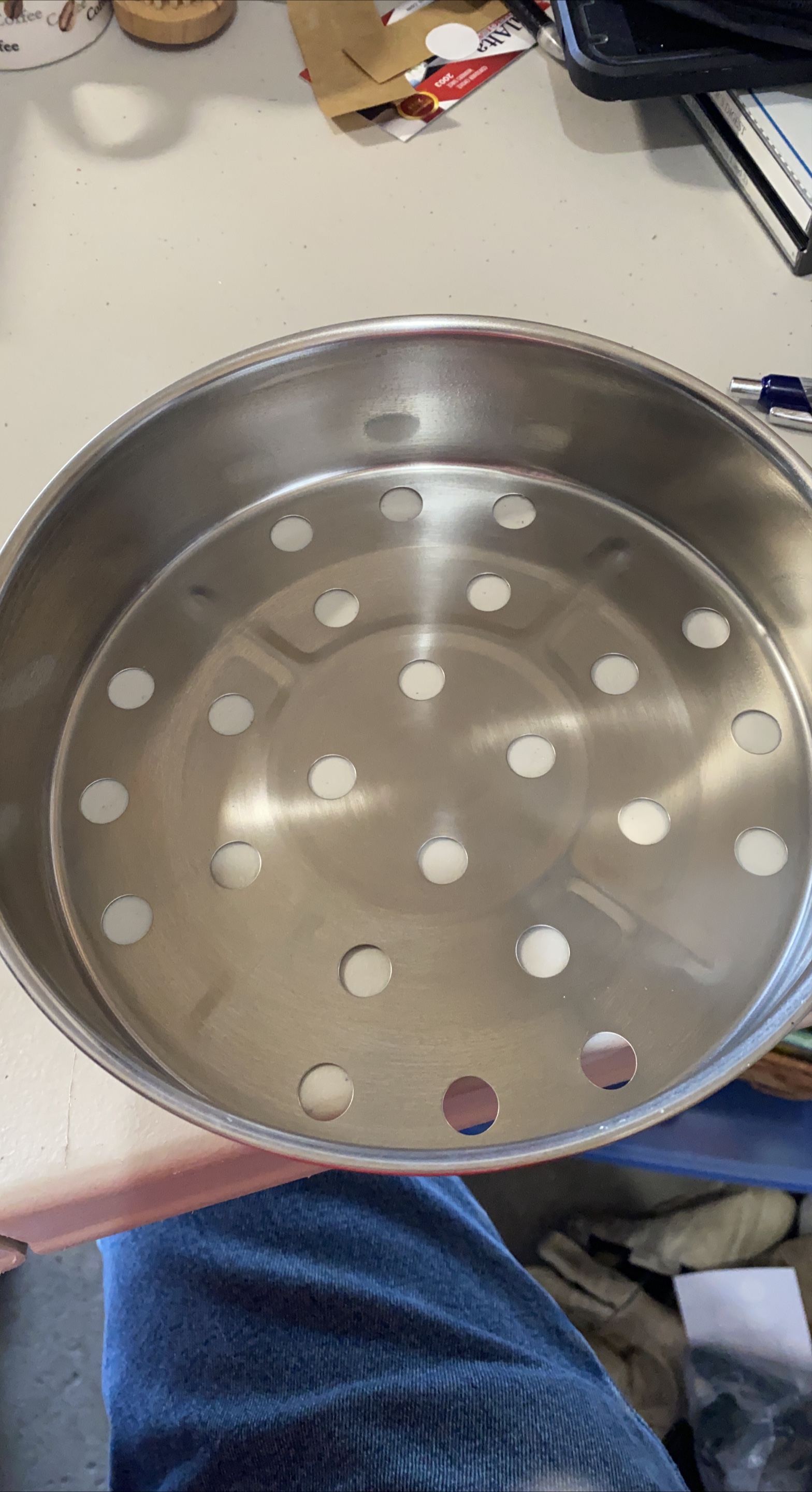 Stainless Steel Steamer Insert thumbnail