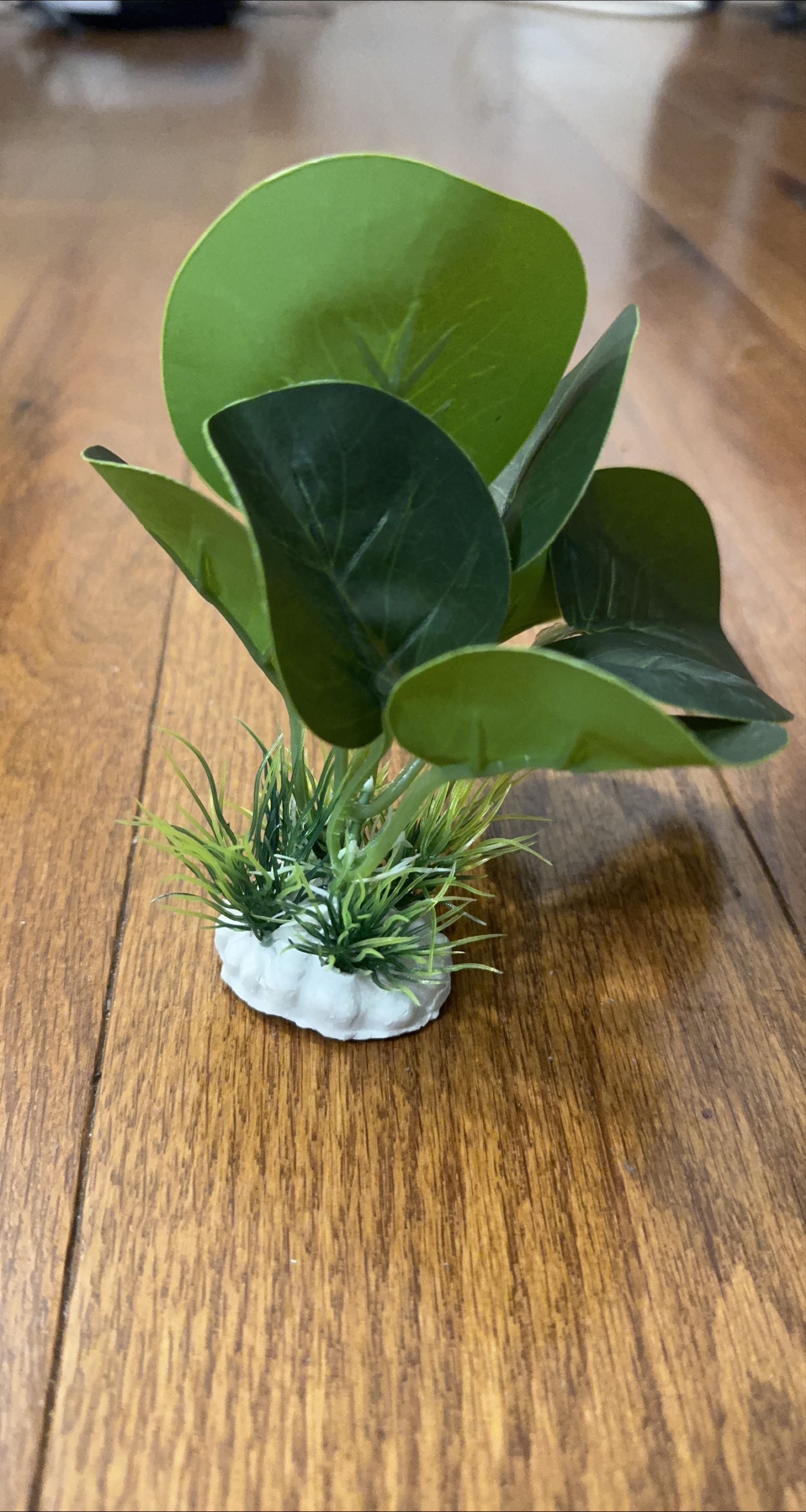 Aquarium Artificial Plant thumbnail