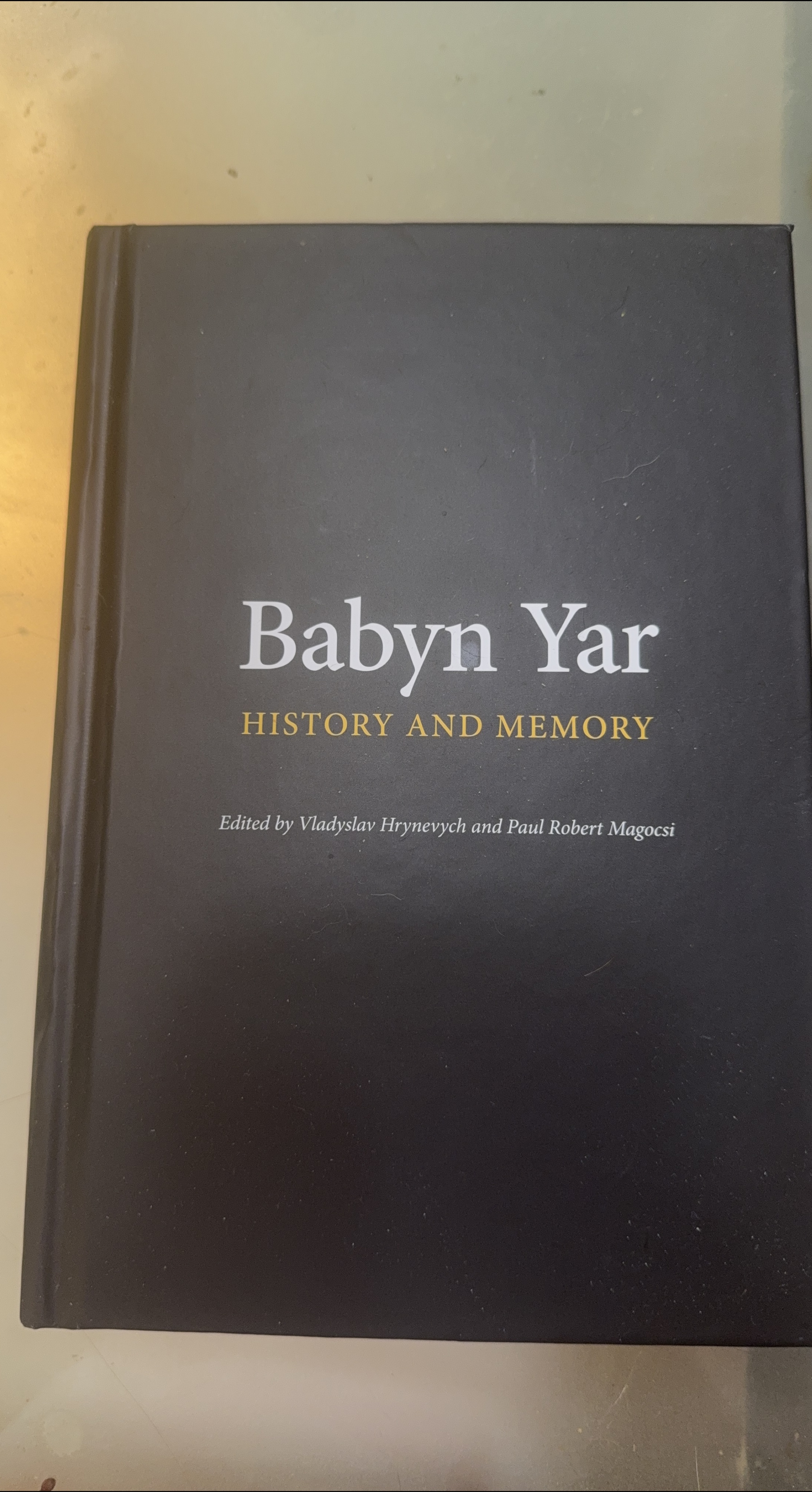 Babyn Yar: History and Memory Book thumbnail