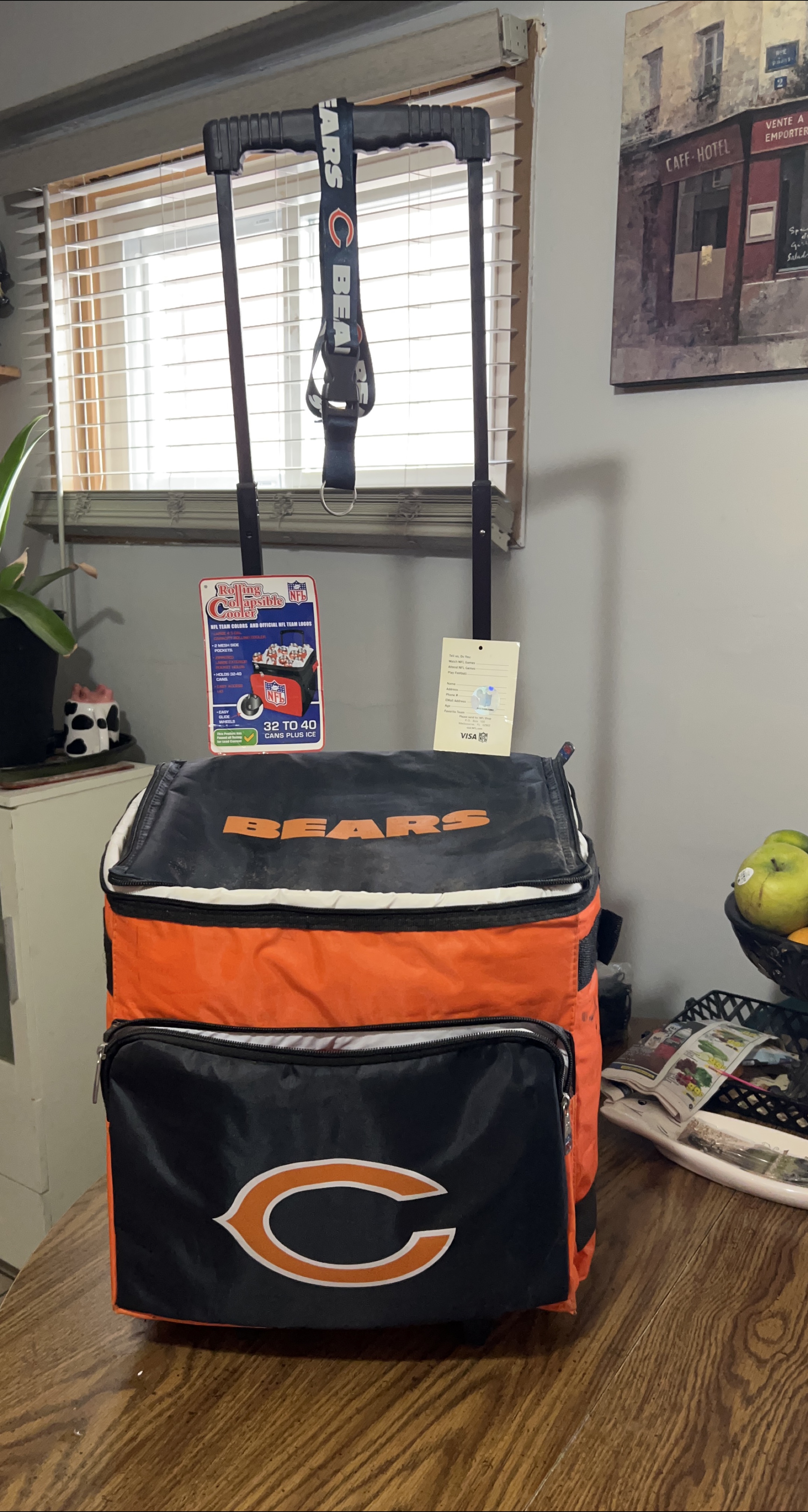 Chicago Bears Rolling Collapsible Cooler - Holds 32-40 Cans thumbnail