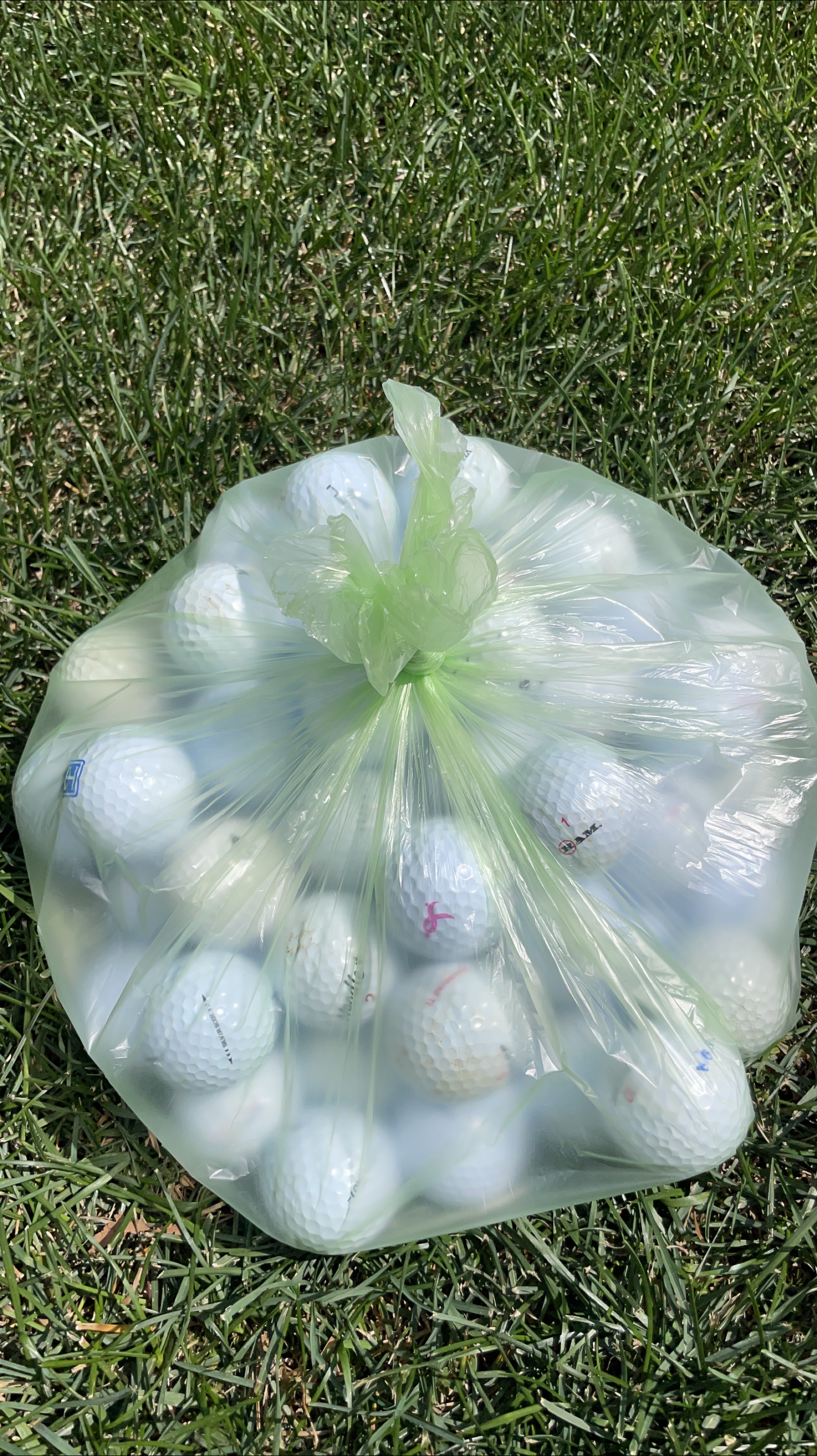 Bag of Used Golf Balls thumbnail