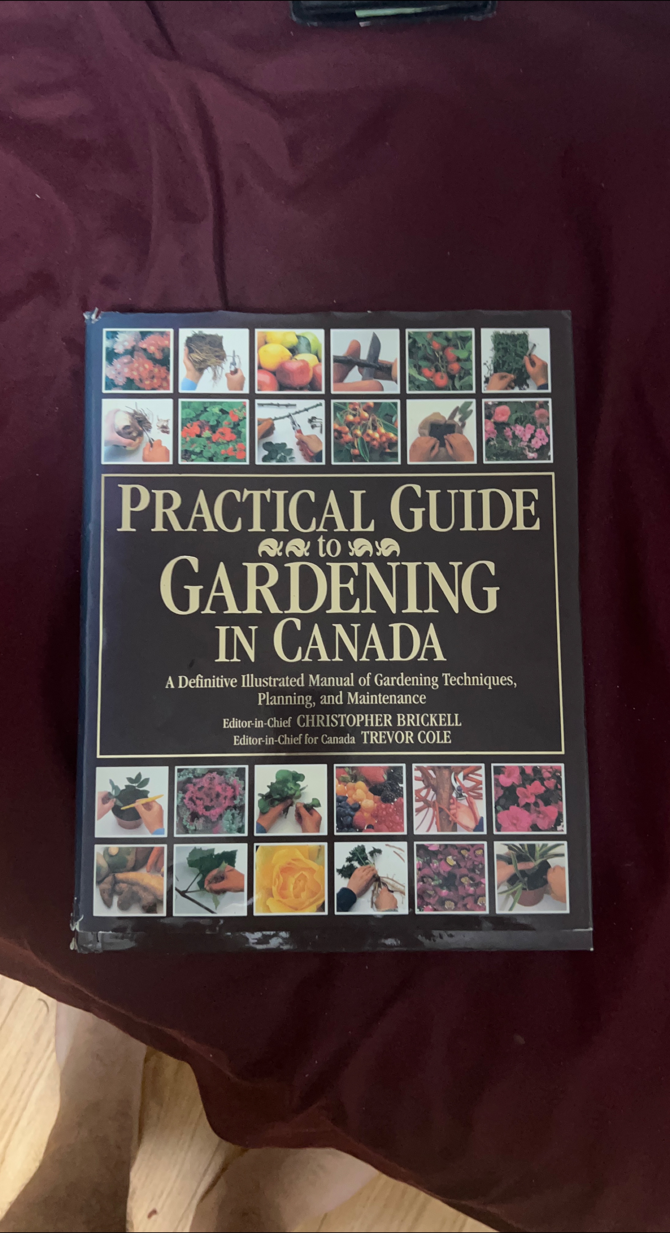 Practical Guide to Gardening in Canada thumbnail