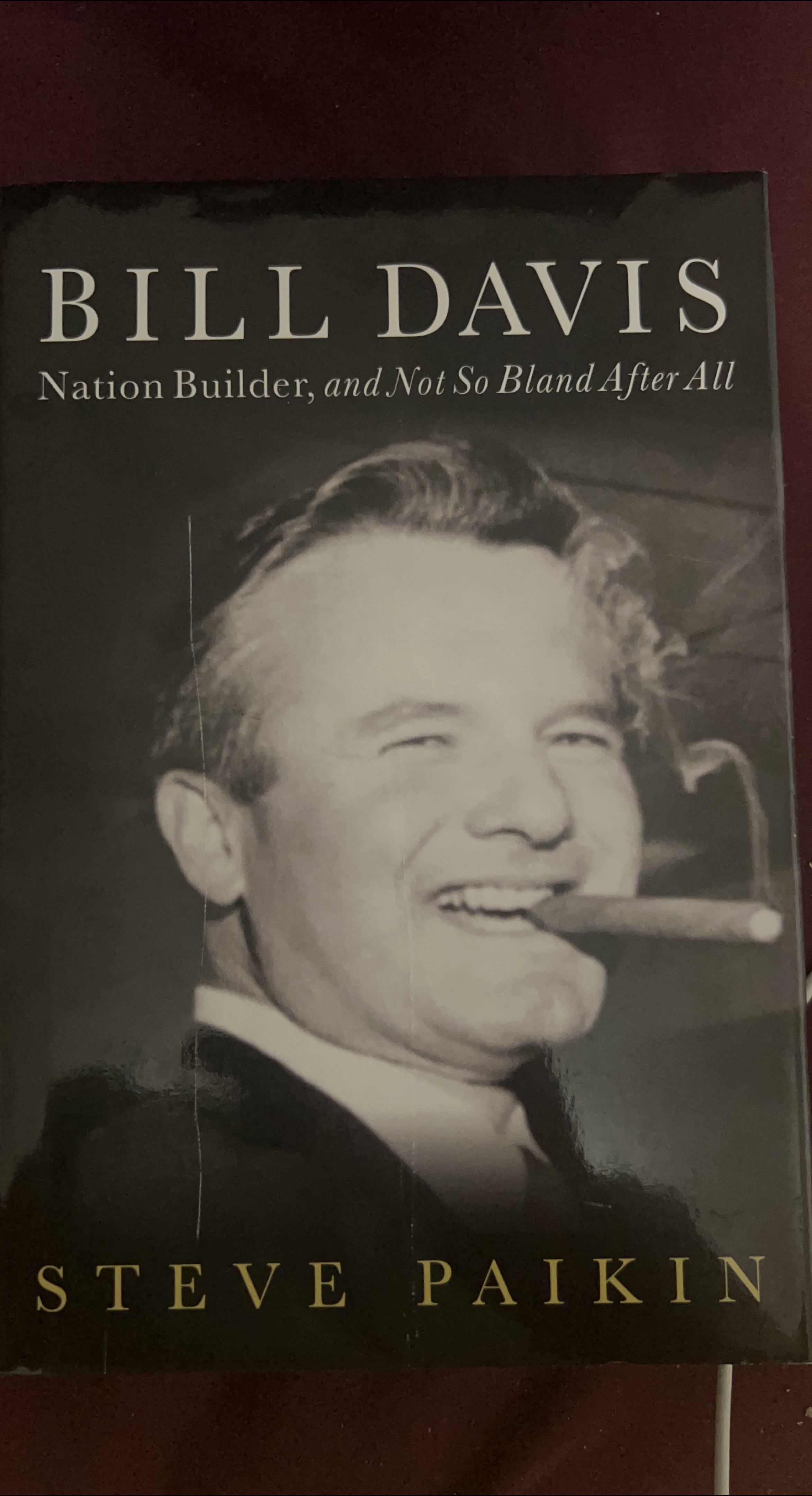 Bill Davis: Nation Builder by Steve Paikin thumbnail