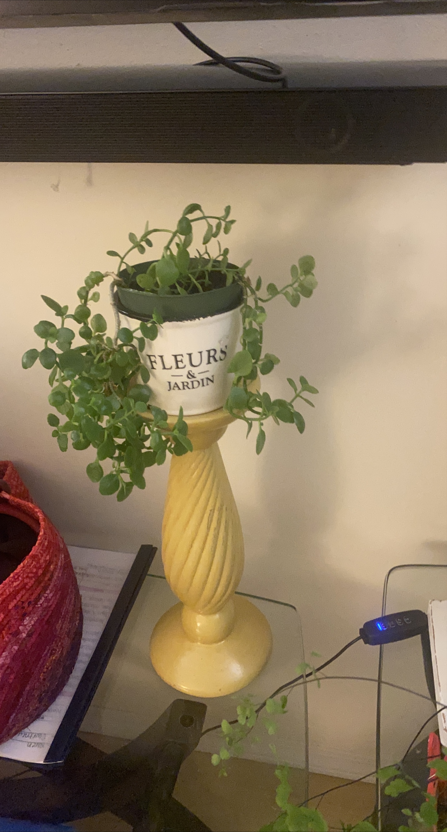 Fleurs & Jardin Plant with Stand thumbnail