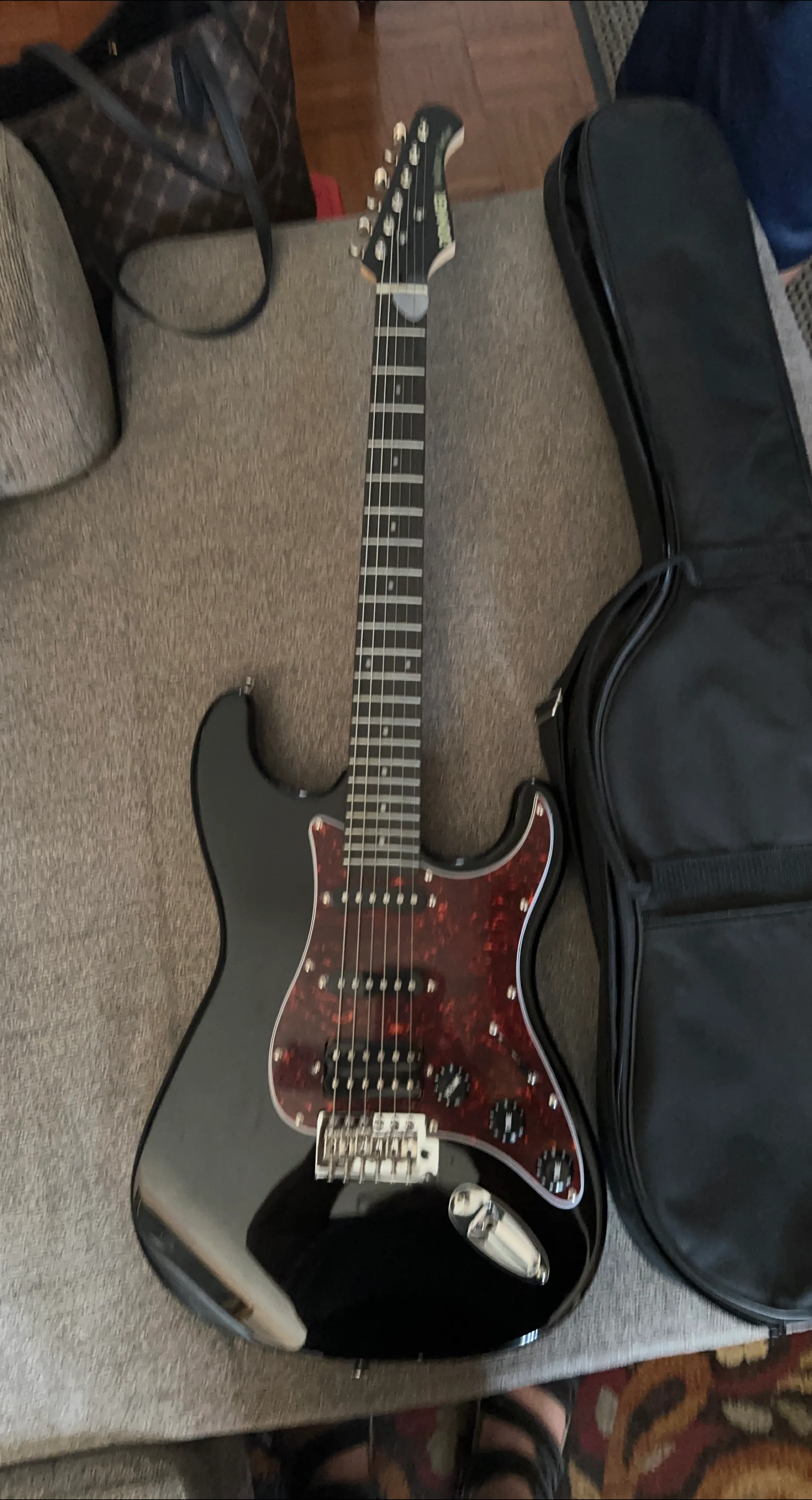 Donner Electric Guitar with Gig Bag