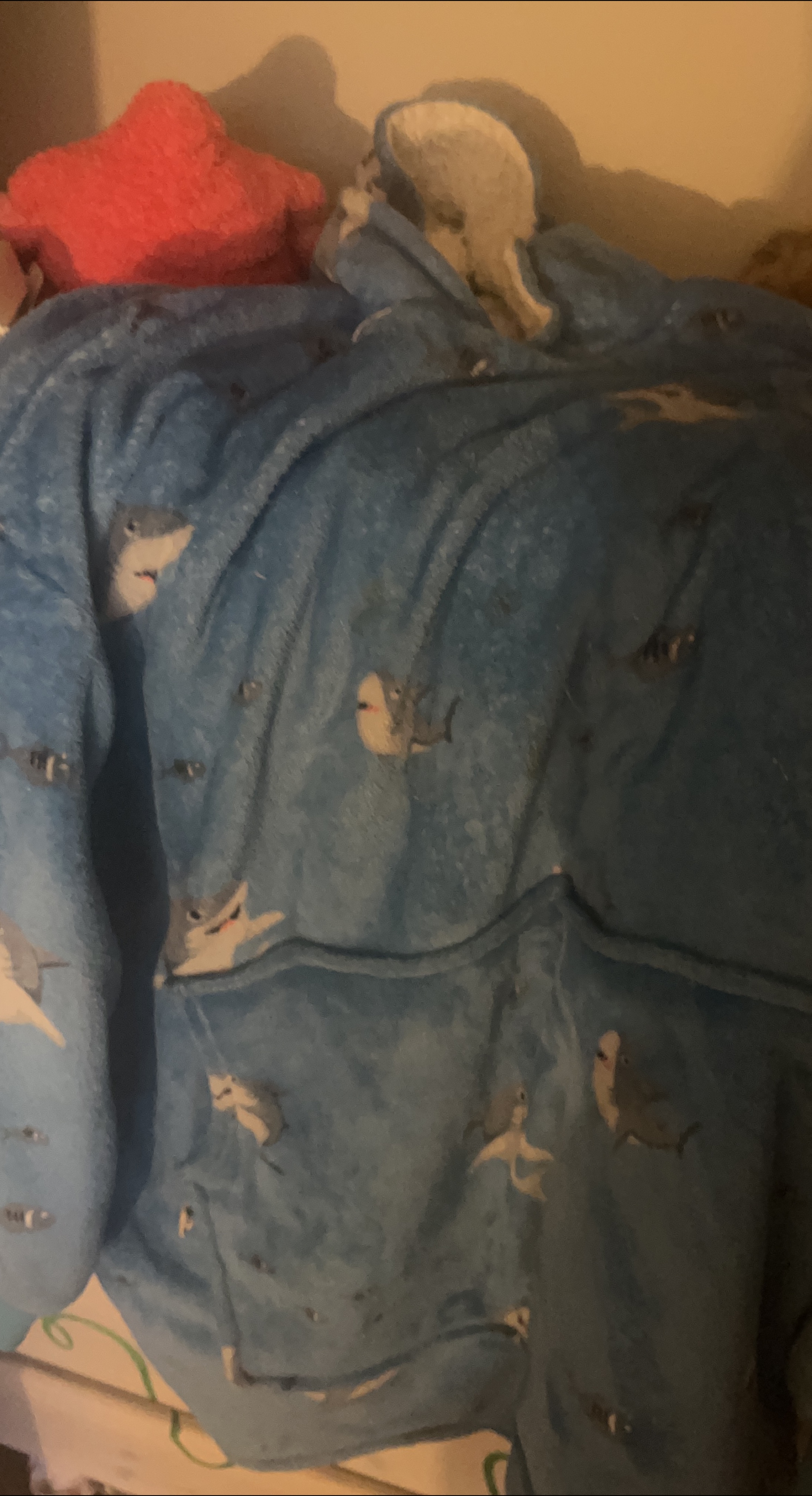 Shark Blanket Hoodie thumbnail