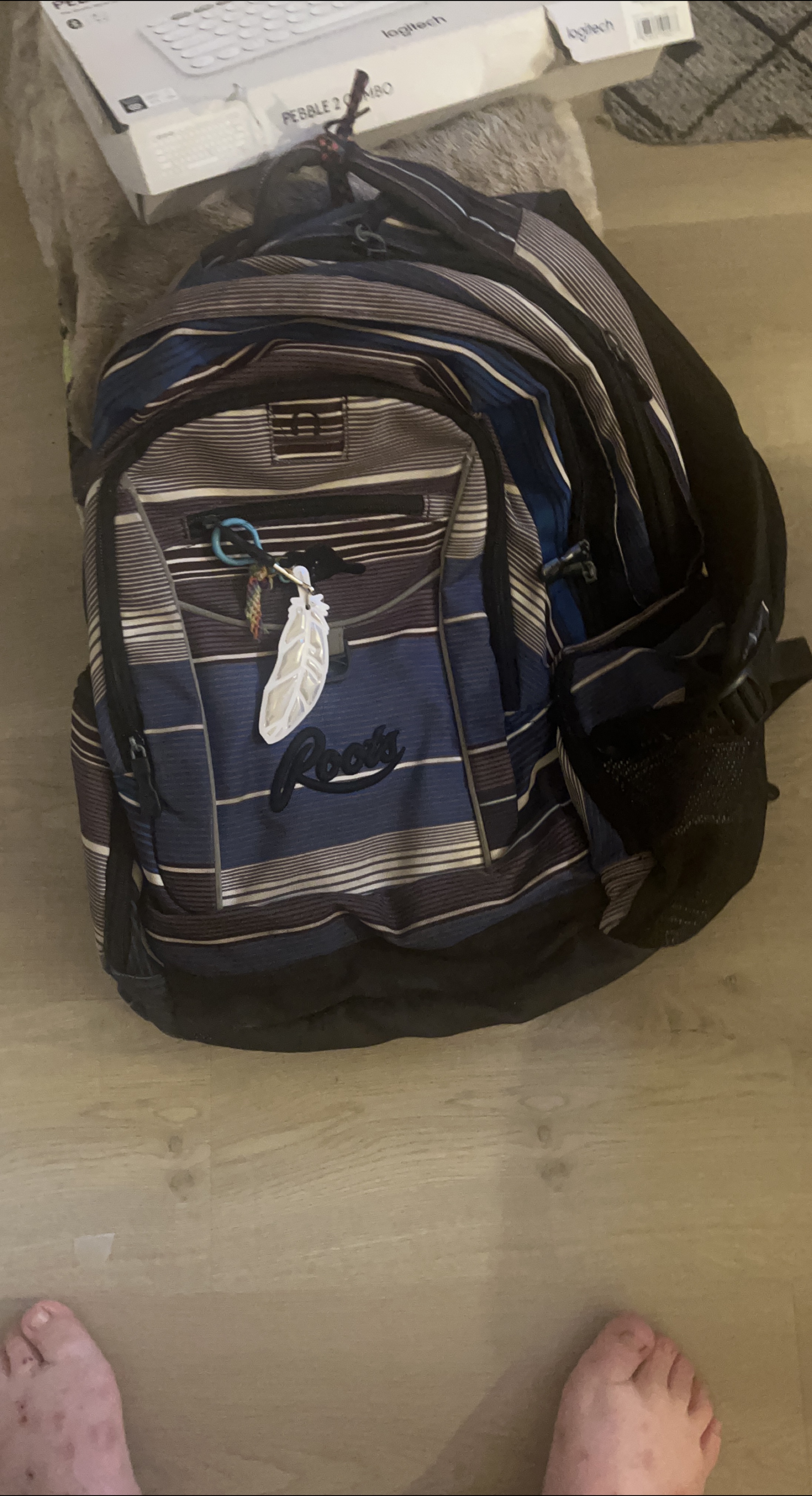 Roots Striped Backpack thumbnail