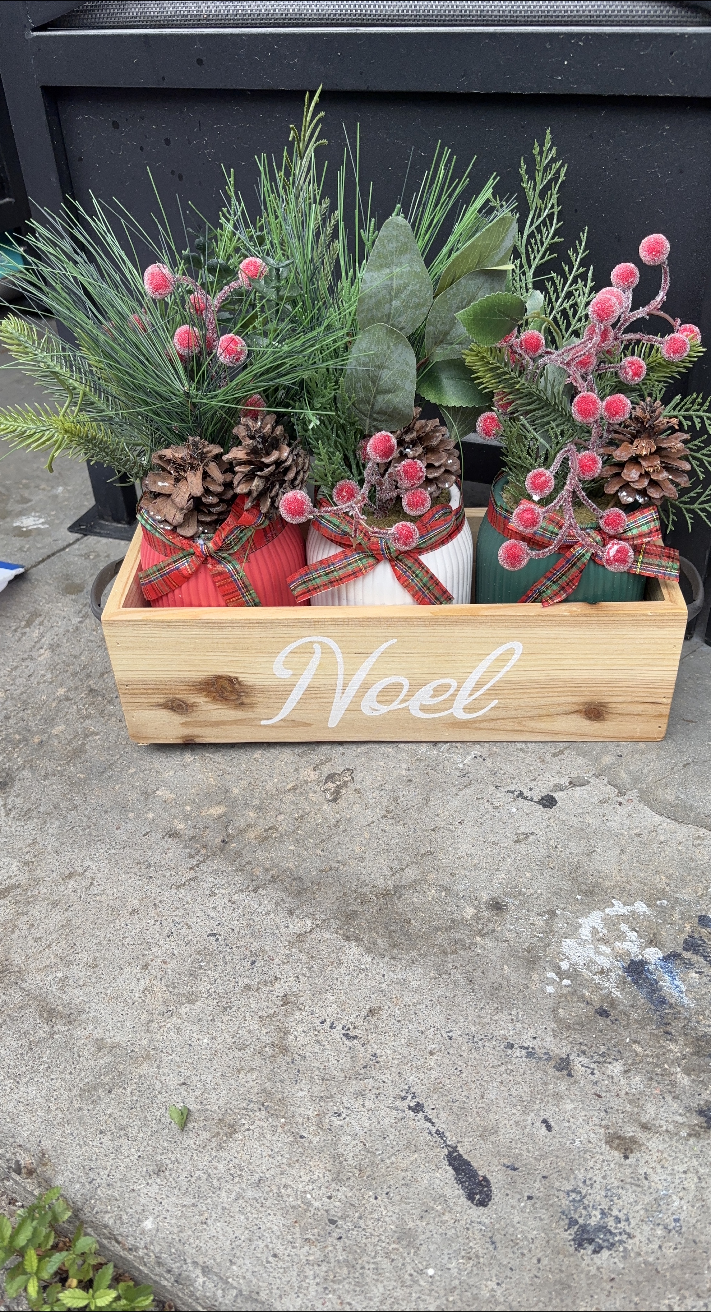 Noel Holiday Decor with Pinecones thumbnail