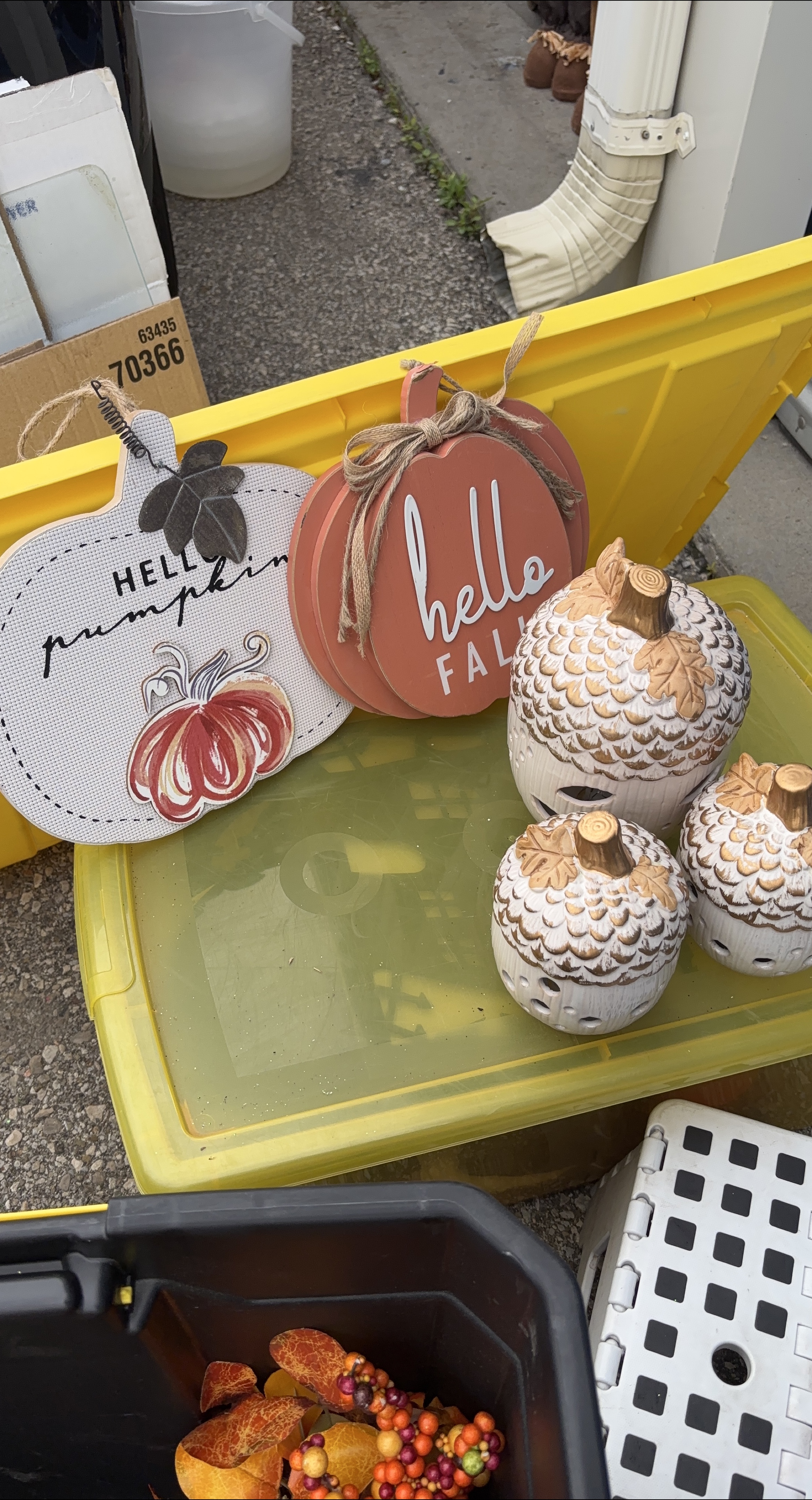 Fall Decor - Pumpkin & Acorn thumbnail