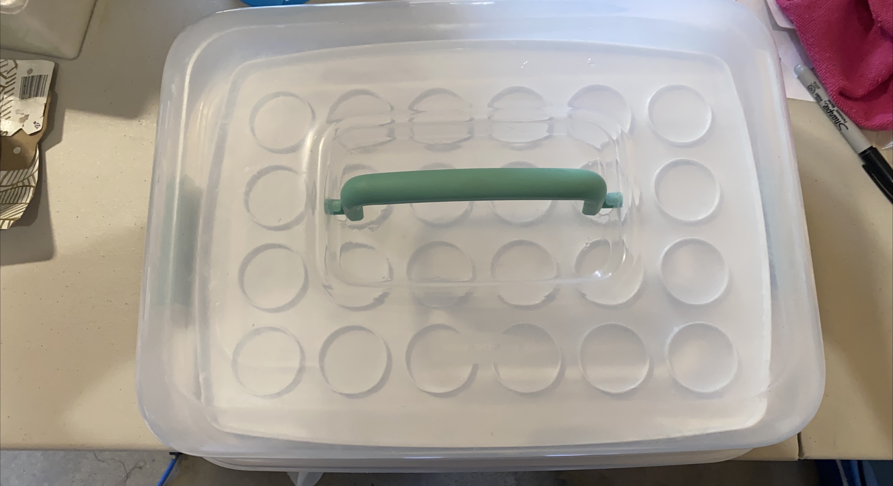 Rubbermaid Cupcake Carrier with Lid & Handle thumbnail