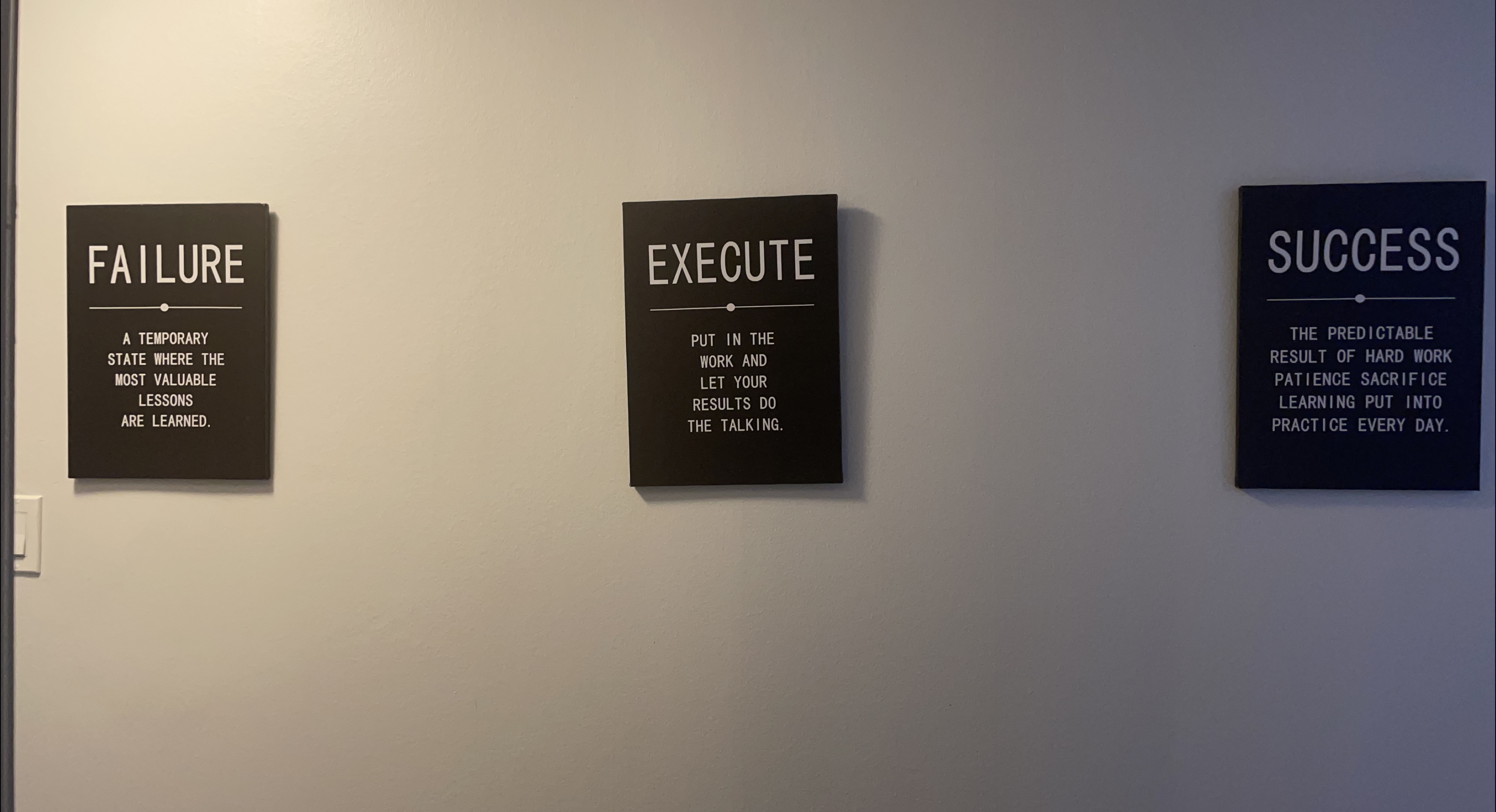 Motivational Wall Art - Failure, Execute, Success thumbnail
