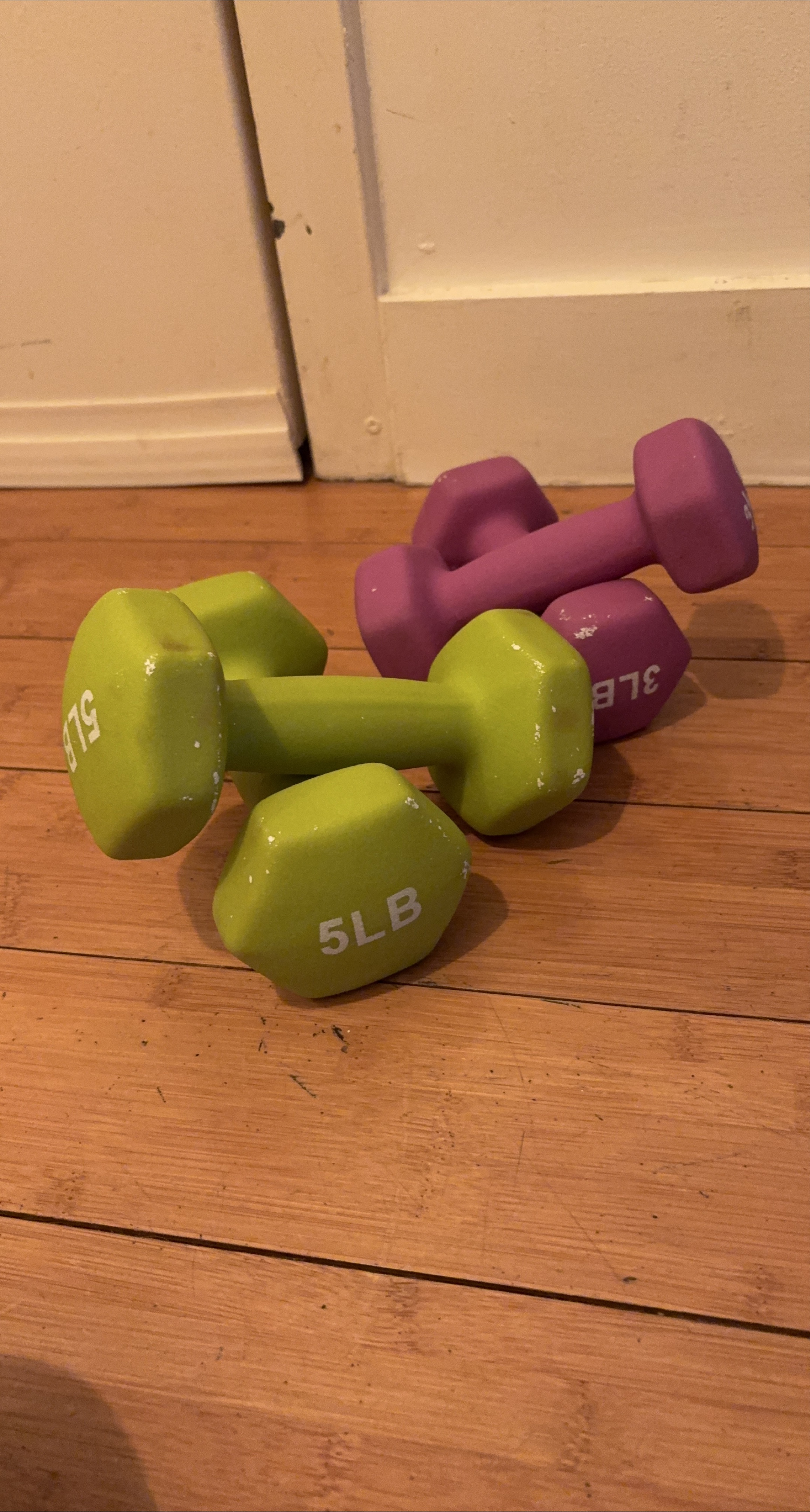 5lb Dumbbells - Green & Purple