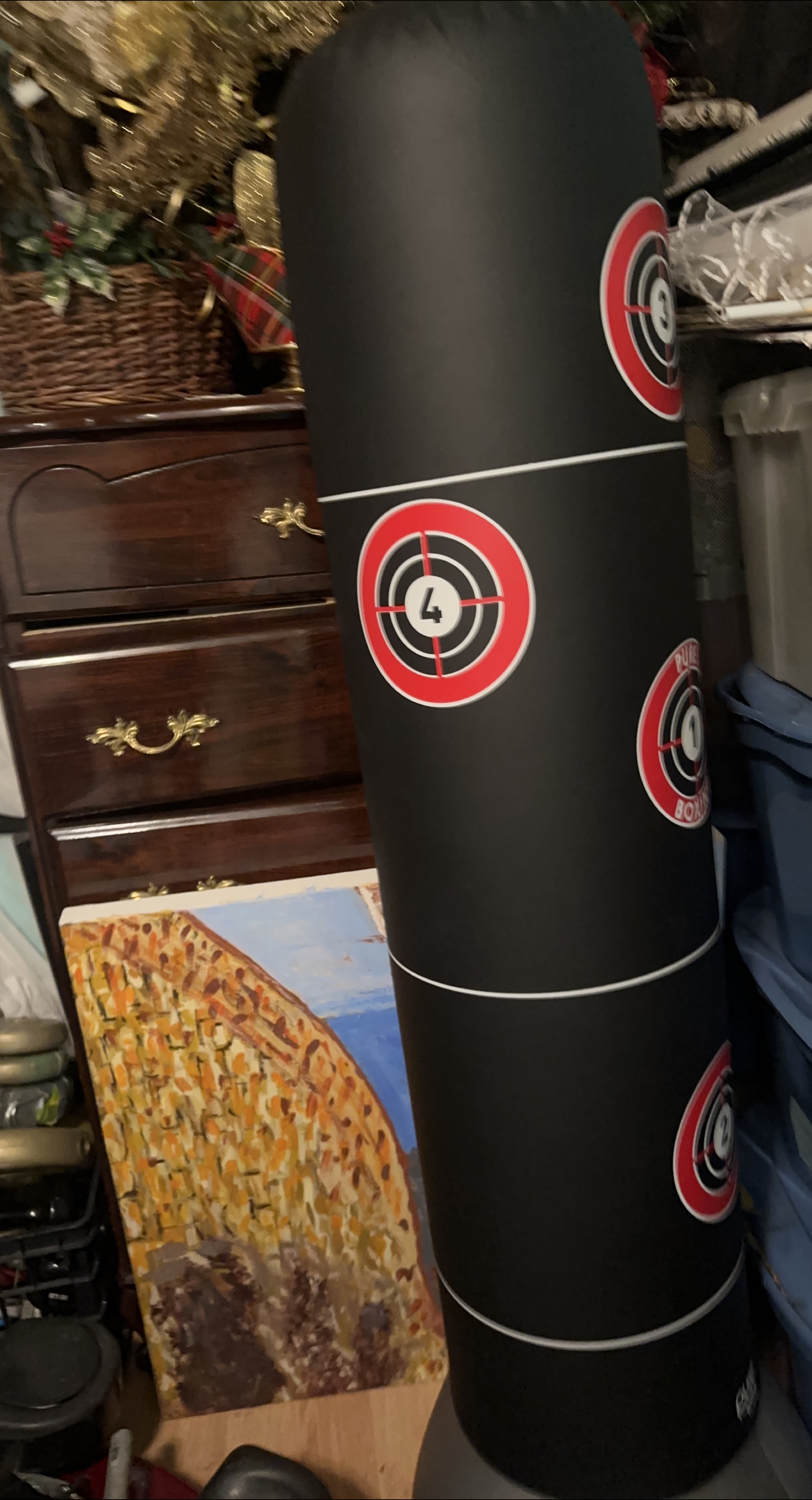 Pure Boxing Punching Bag