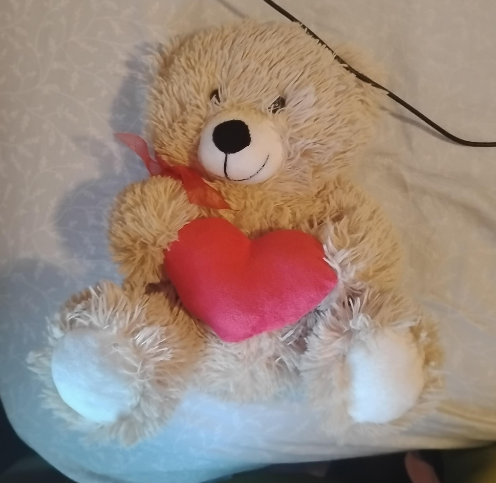 Teddy Bear with Heart pickup only thumbnail