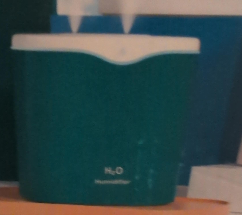 H2O Humidifier thumbnail