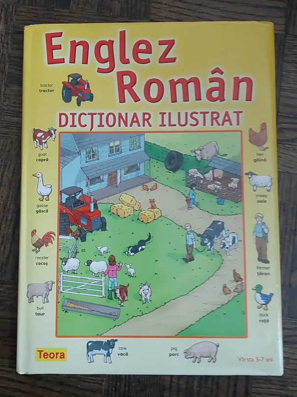 Teora English Romanian Illustrated Dictionary