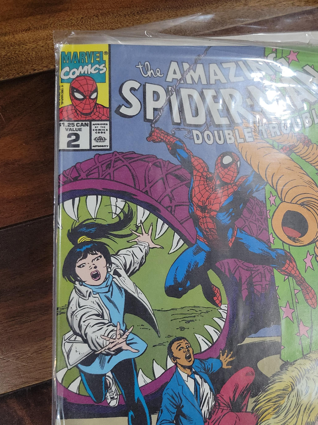 The Amazing Spider-Man Comic Book #2