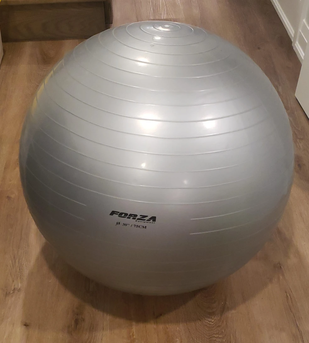 Forza Exercise Ball - 30"/75cm thumbnail