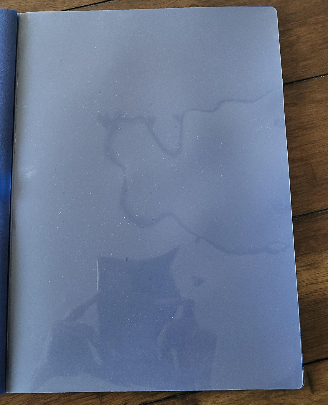 Report Cover