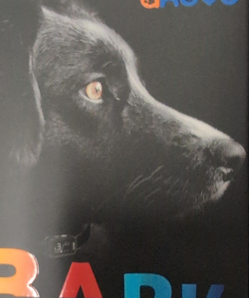 This is a bark collar This will make your dog stop barking thumbnail