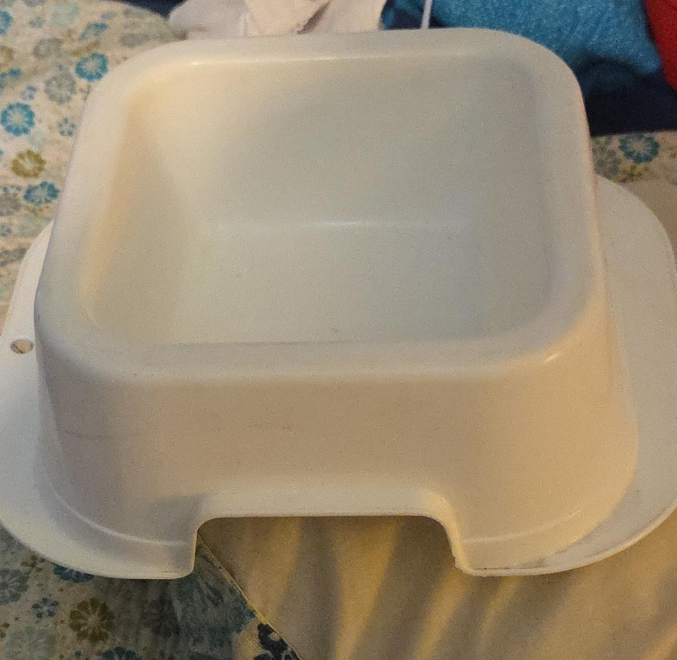 White Plastic Pet Bowl thumbnail
