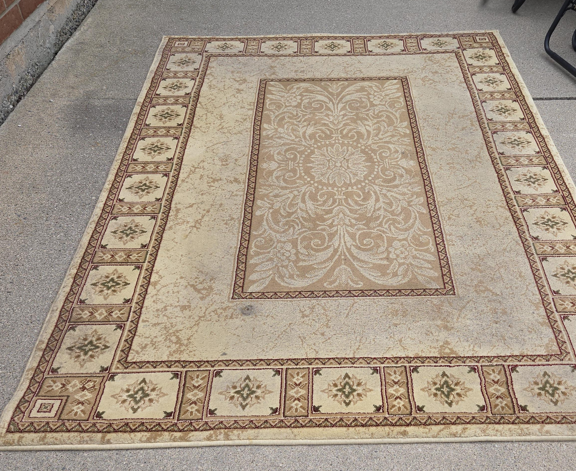 Beige Patterned Area Rug thumbnail
