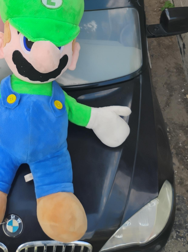 Luigi Plush Toy thumbnail