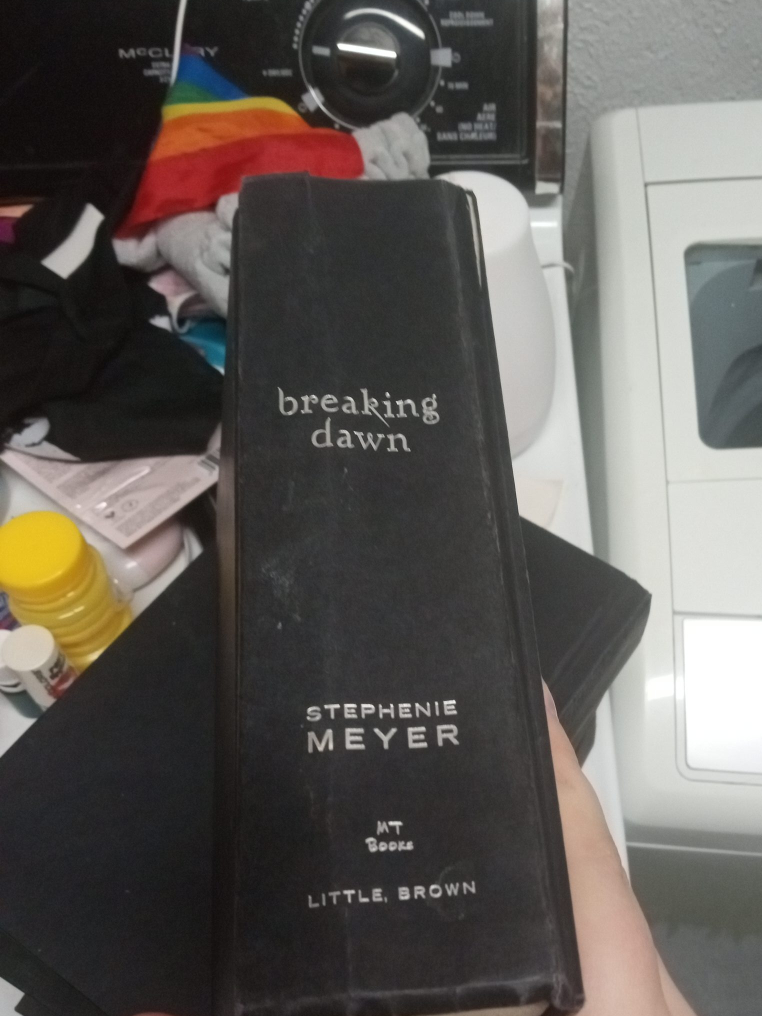 Breaking Dawn by Stephenie Meyer thumbnail