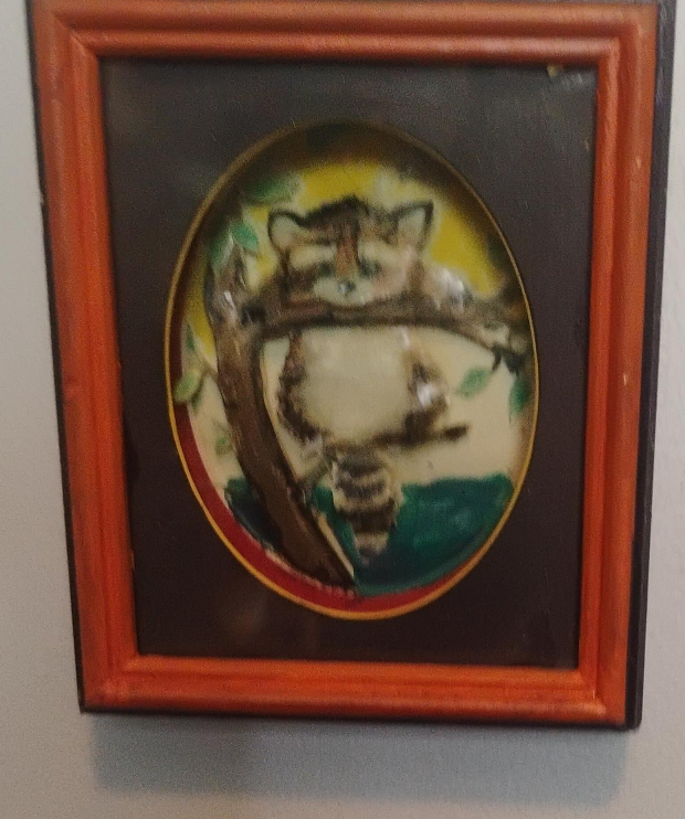 Raccoon Framed Art
