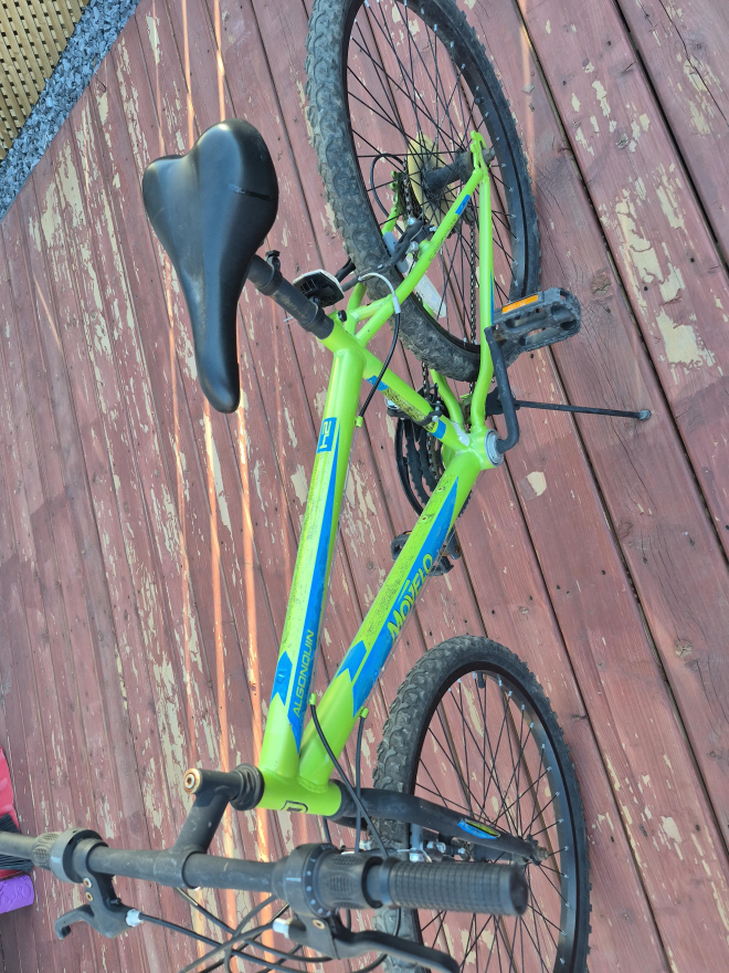 Mowelo Algonquin Bike - Green and Blue thumbnail